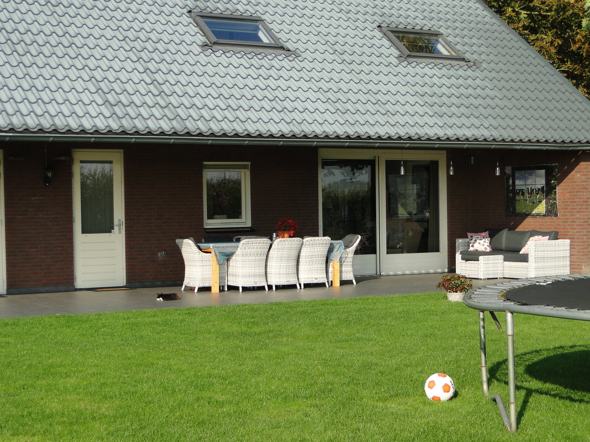 - image: 1