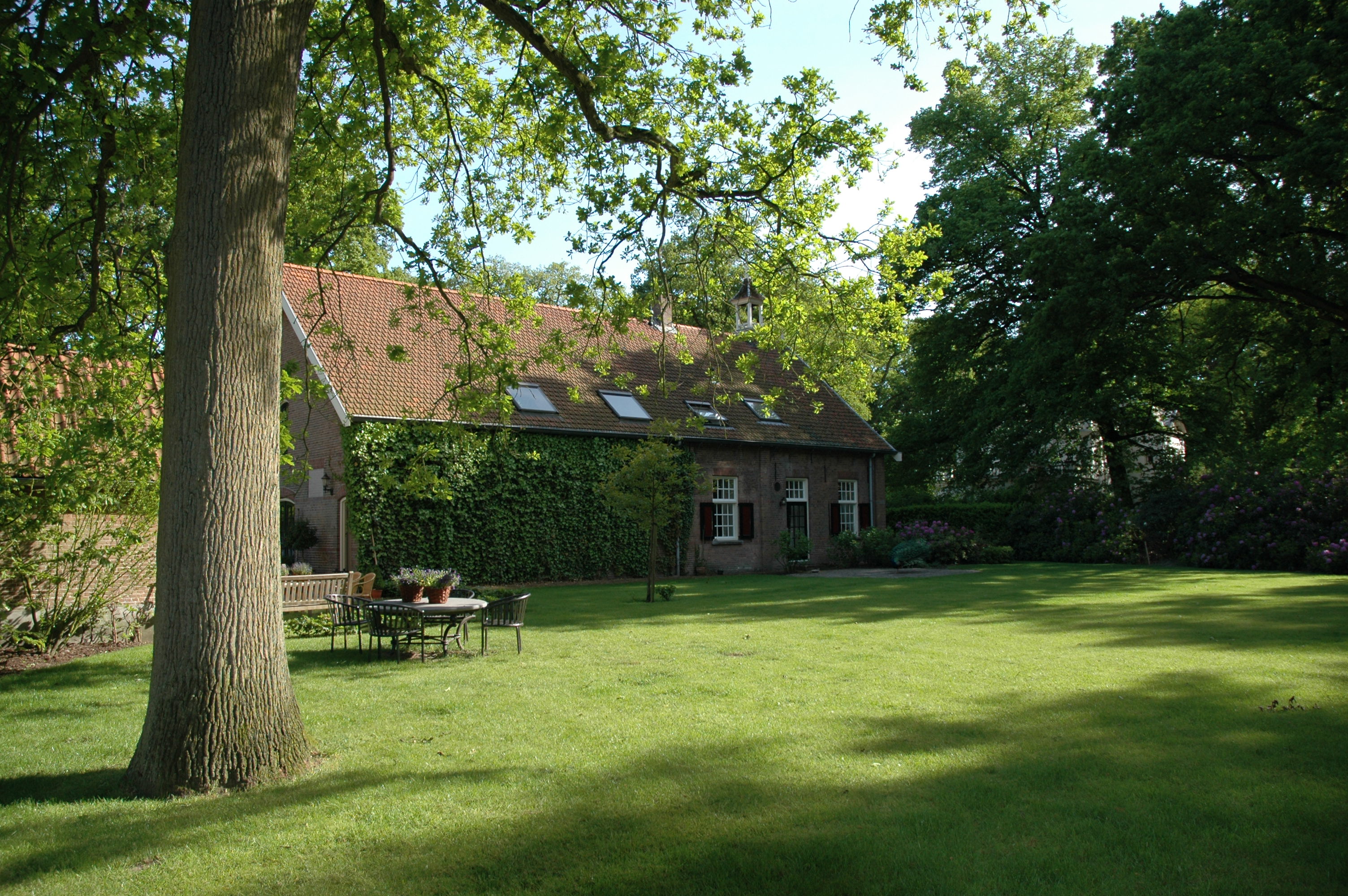 - image: 11