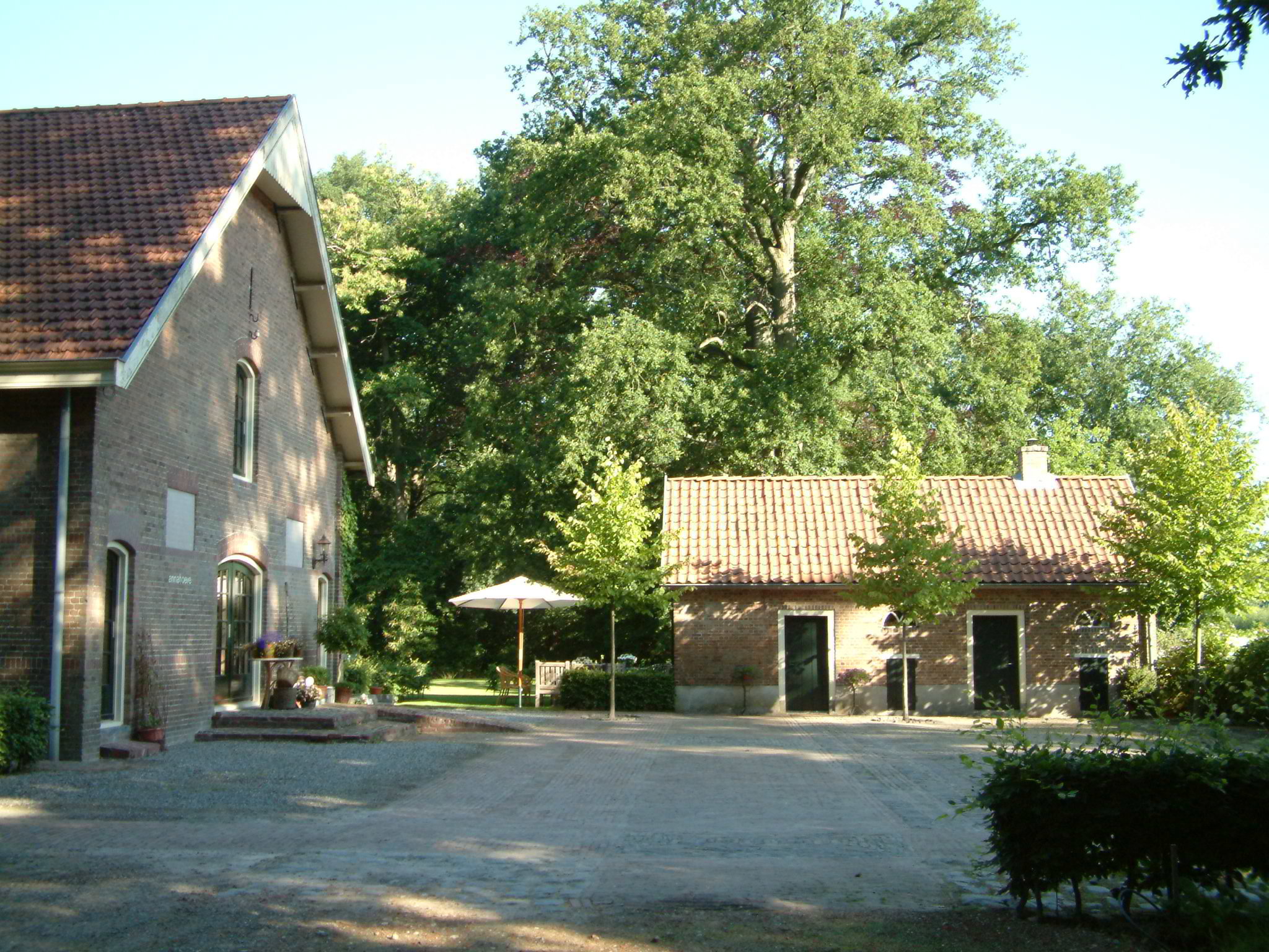 - image: 10