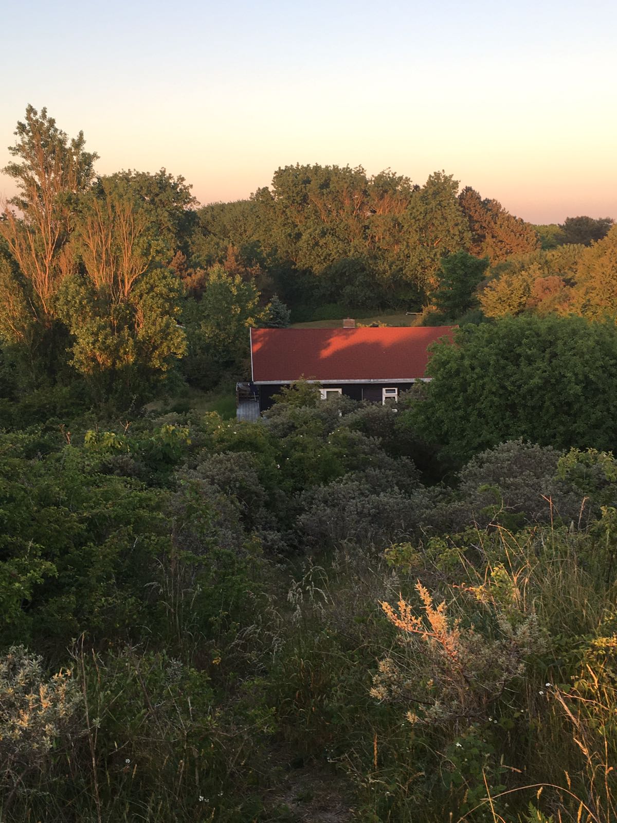 Maison nature à Ouddorp