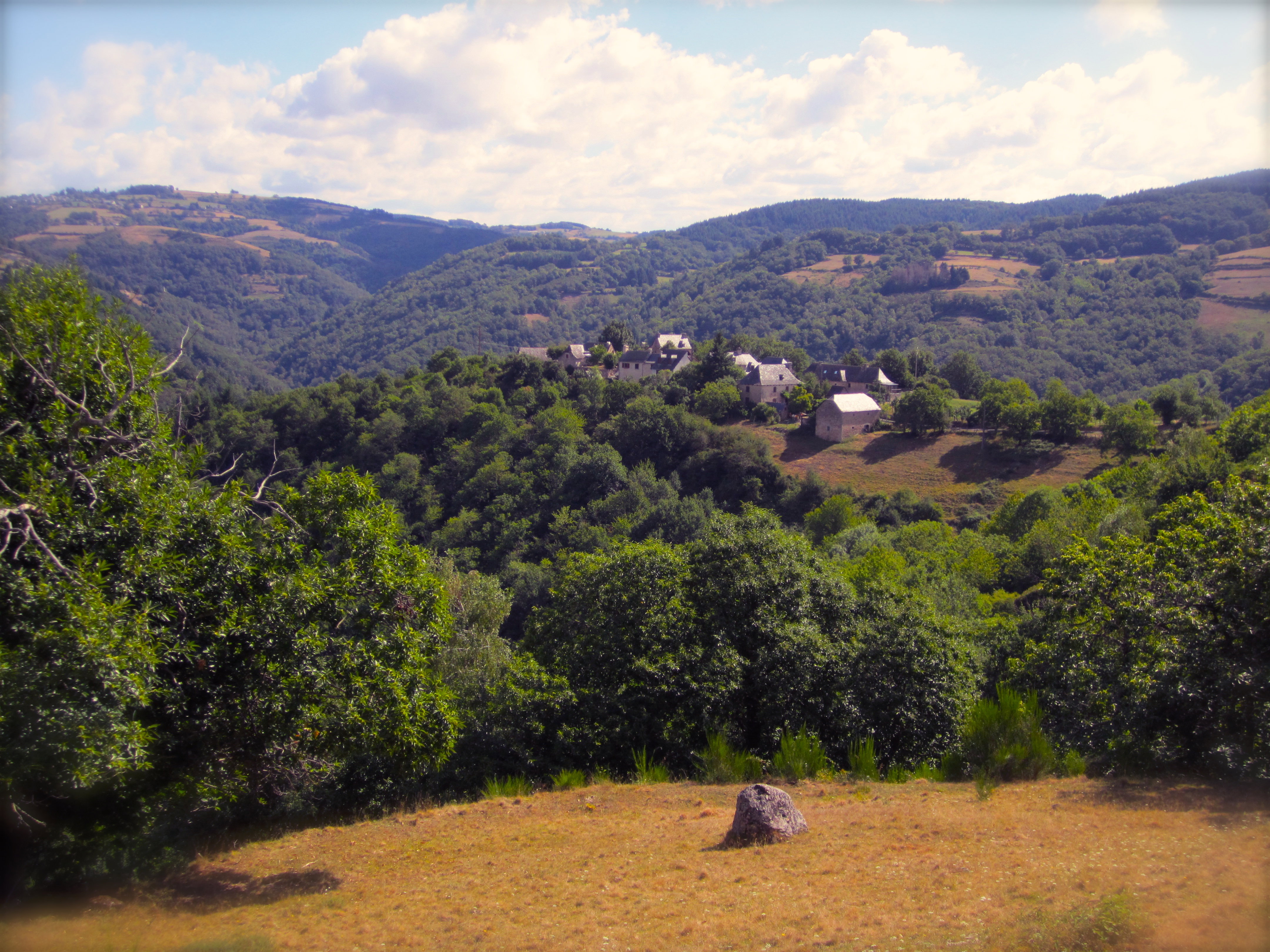 - image: 26