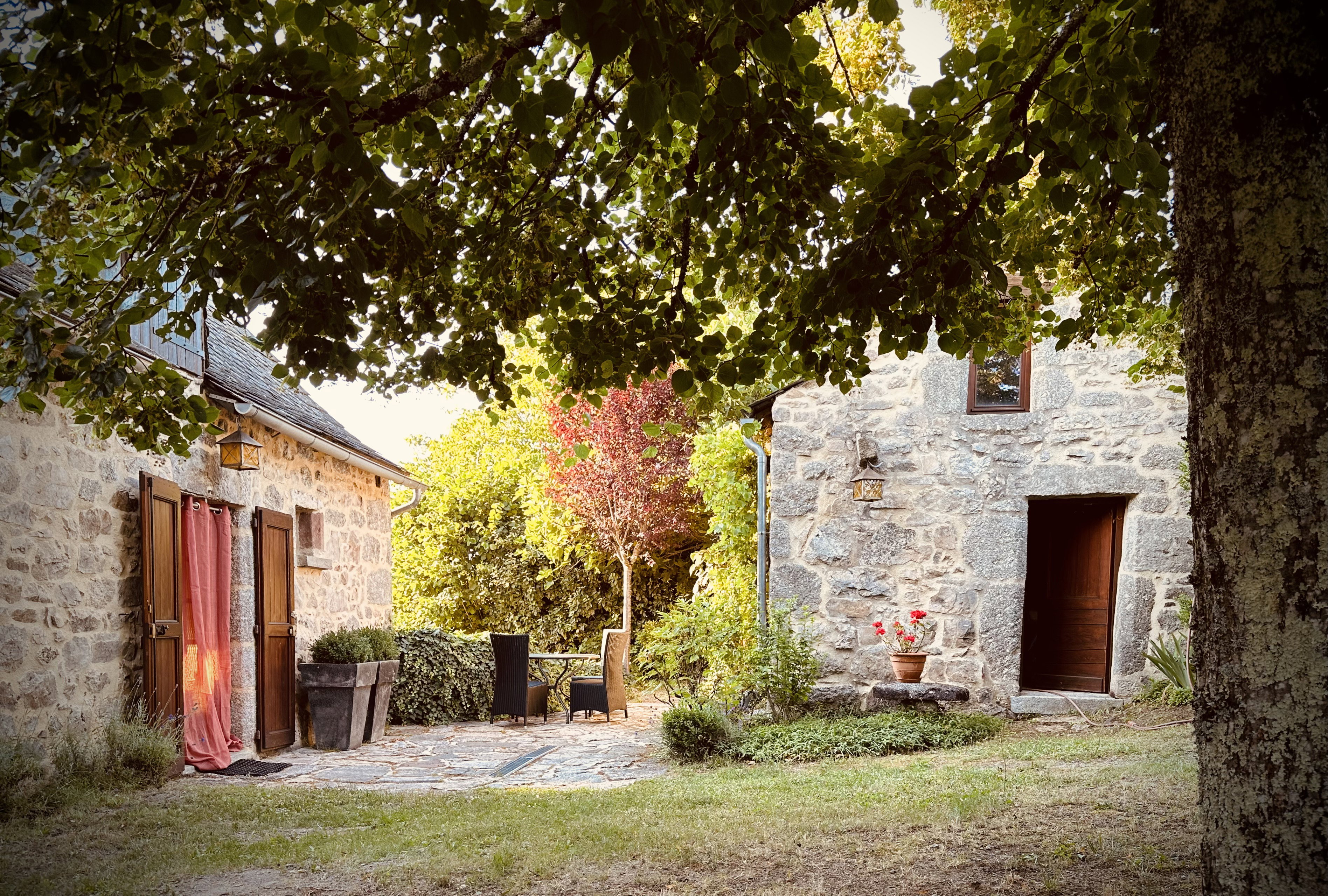 - image: 11