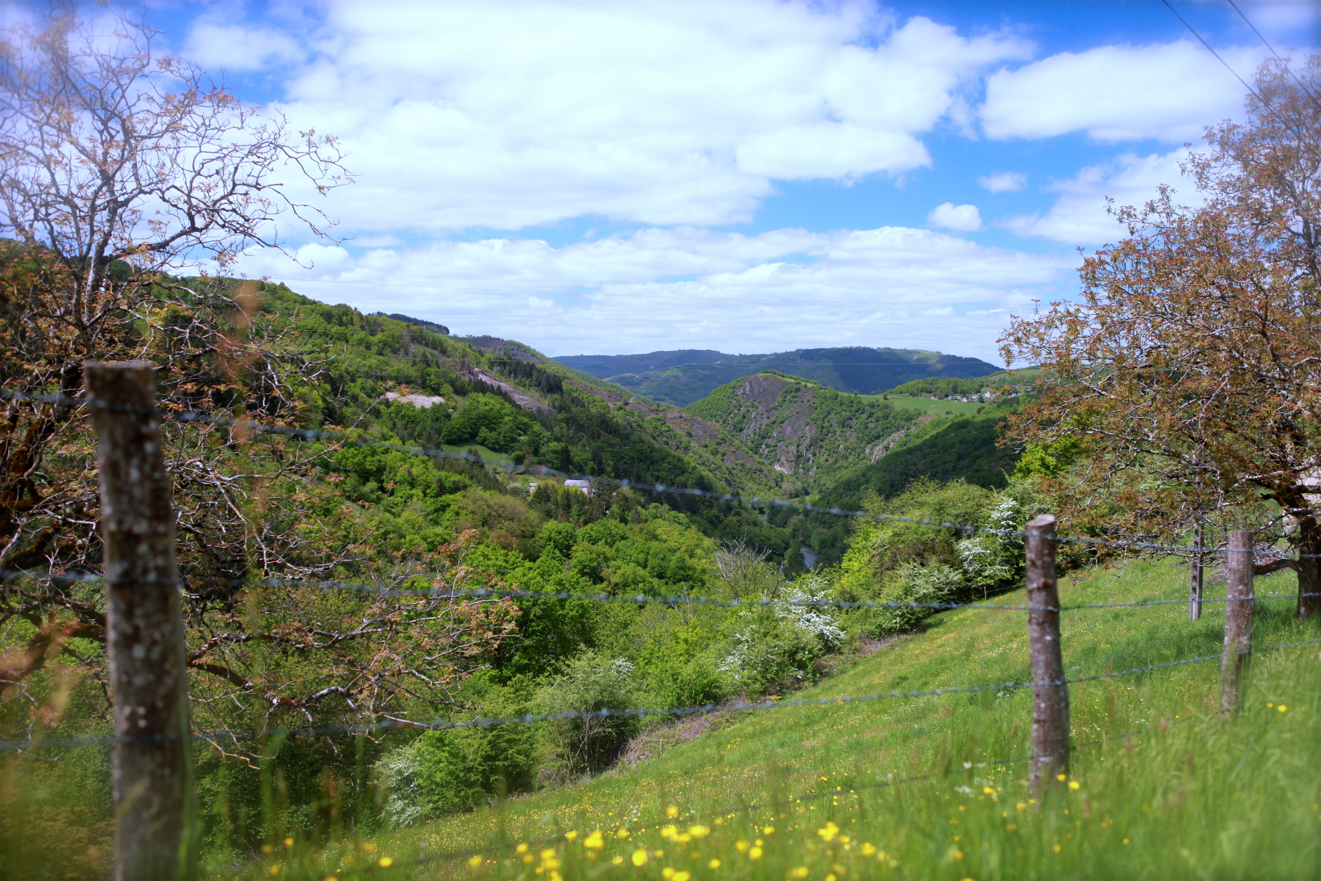 Maison nature à Golinhac