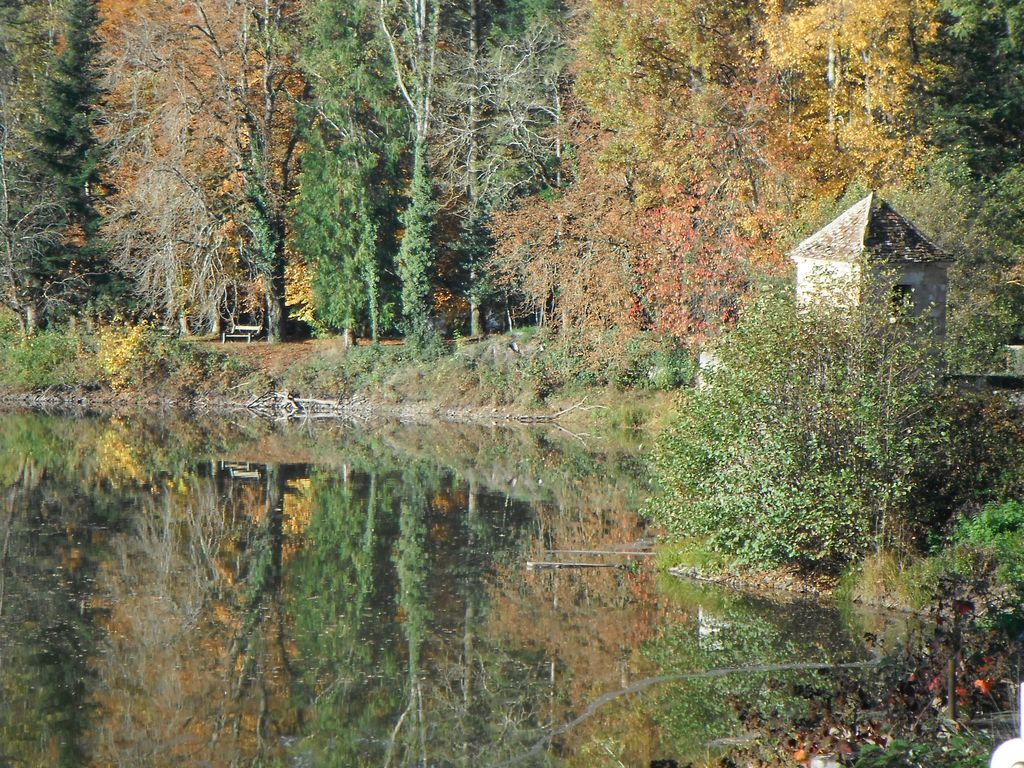 - image: 12