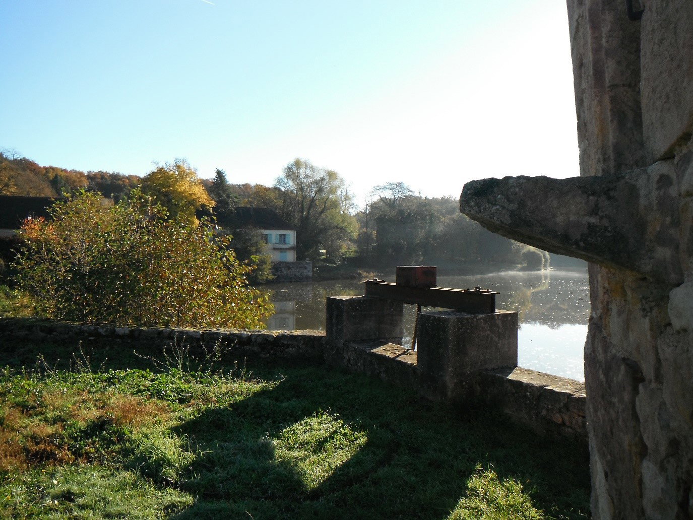- image: 5