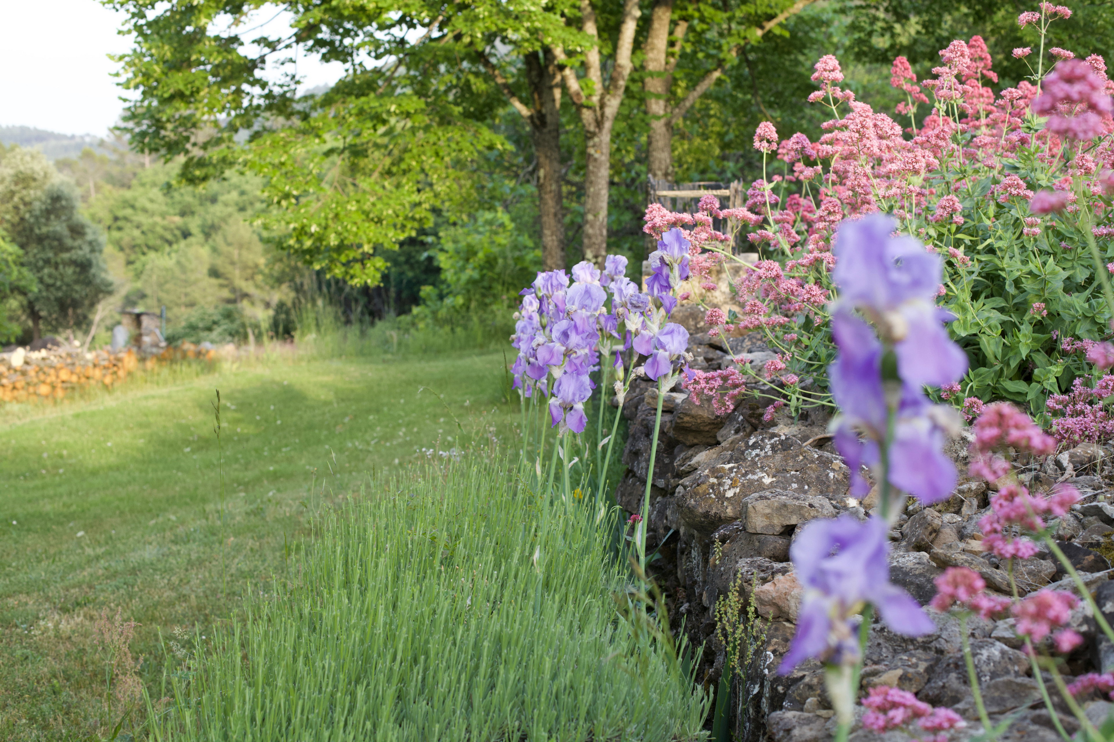 Natuurhuisje in Molières sur Cèze
