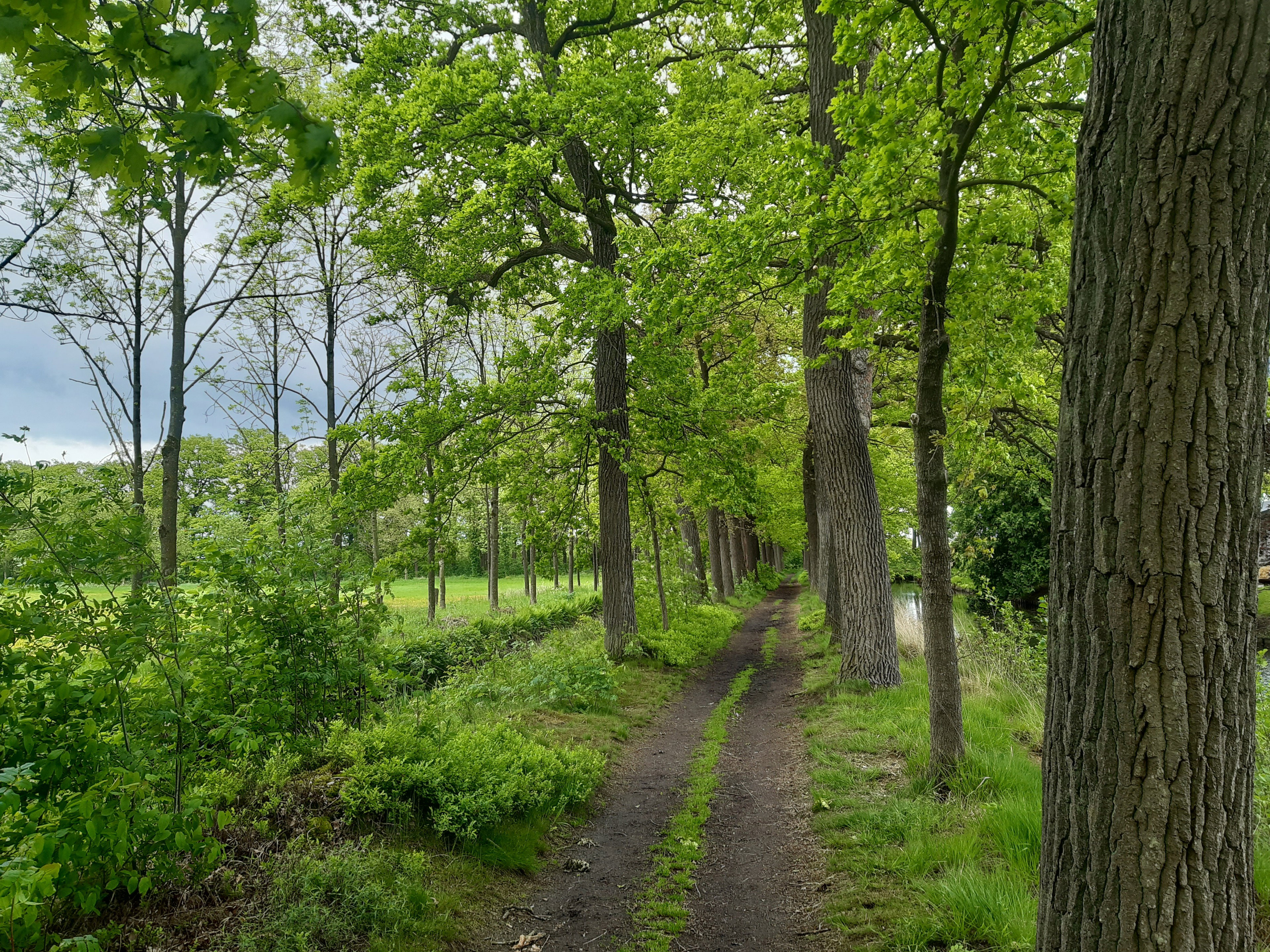 - image: 22