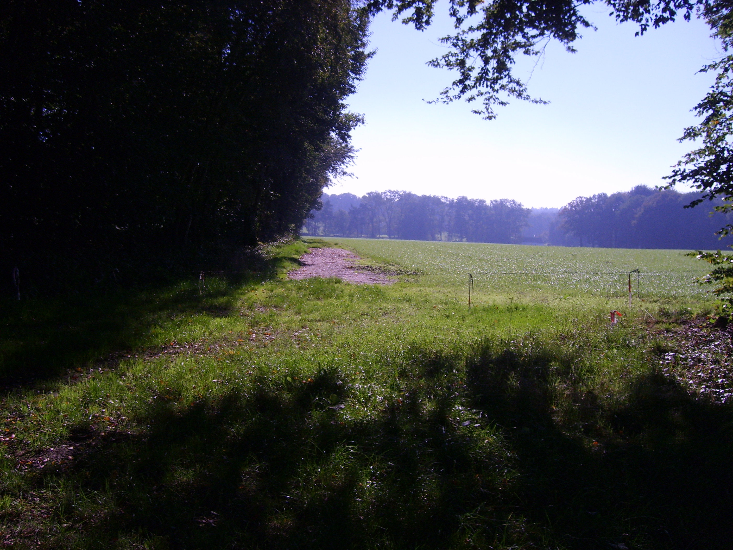 - image: 28