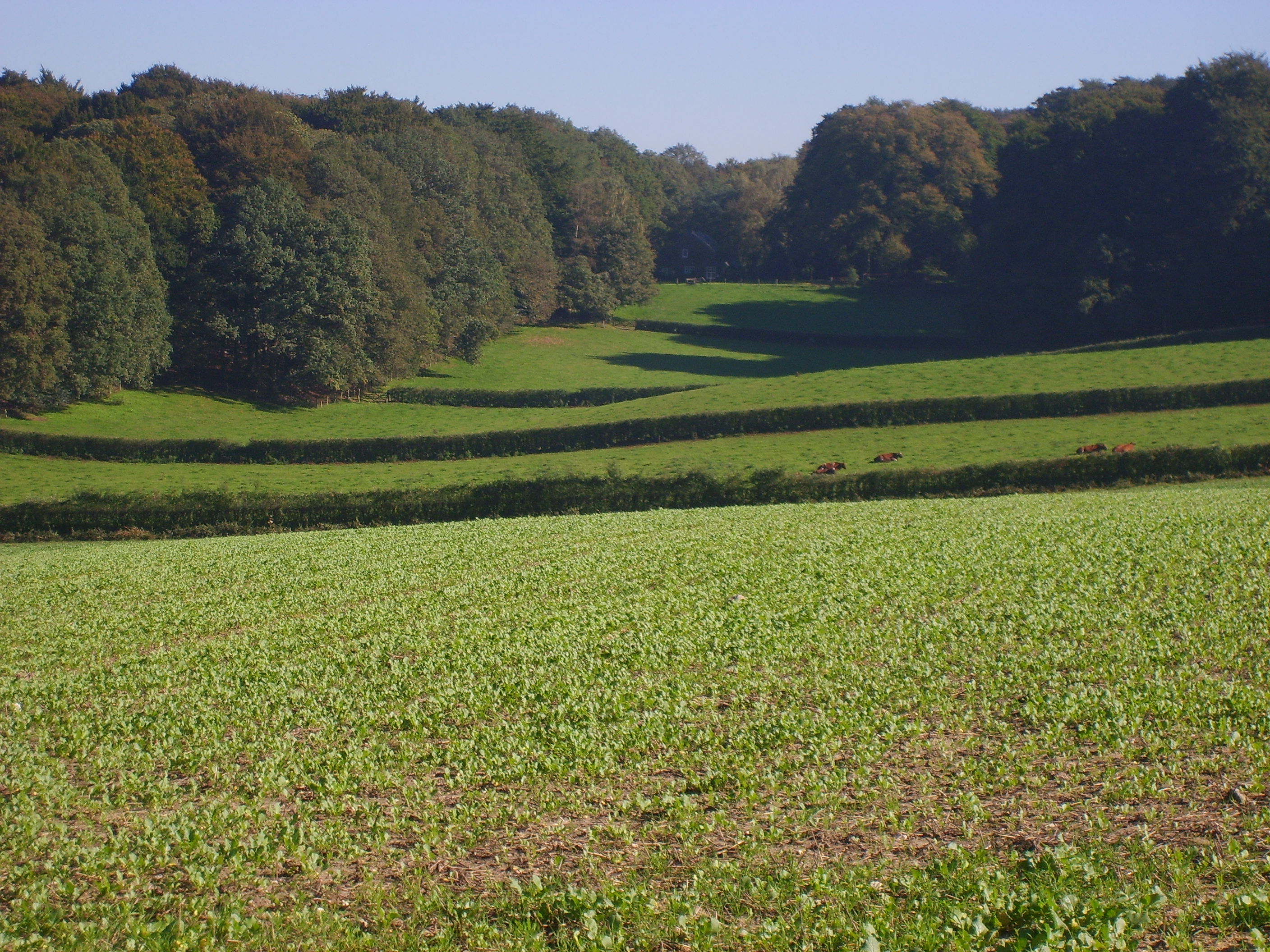 Naturhäuschen in Berg en Dal