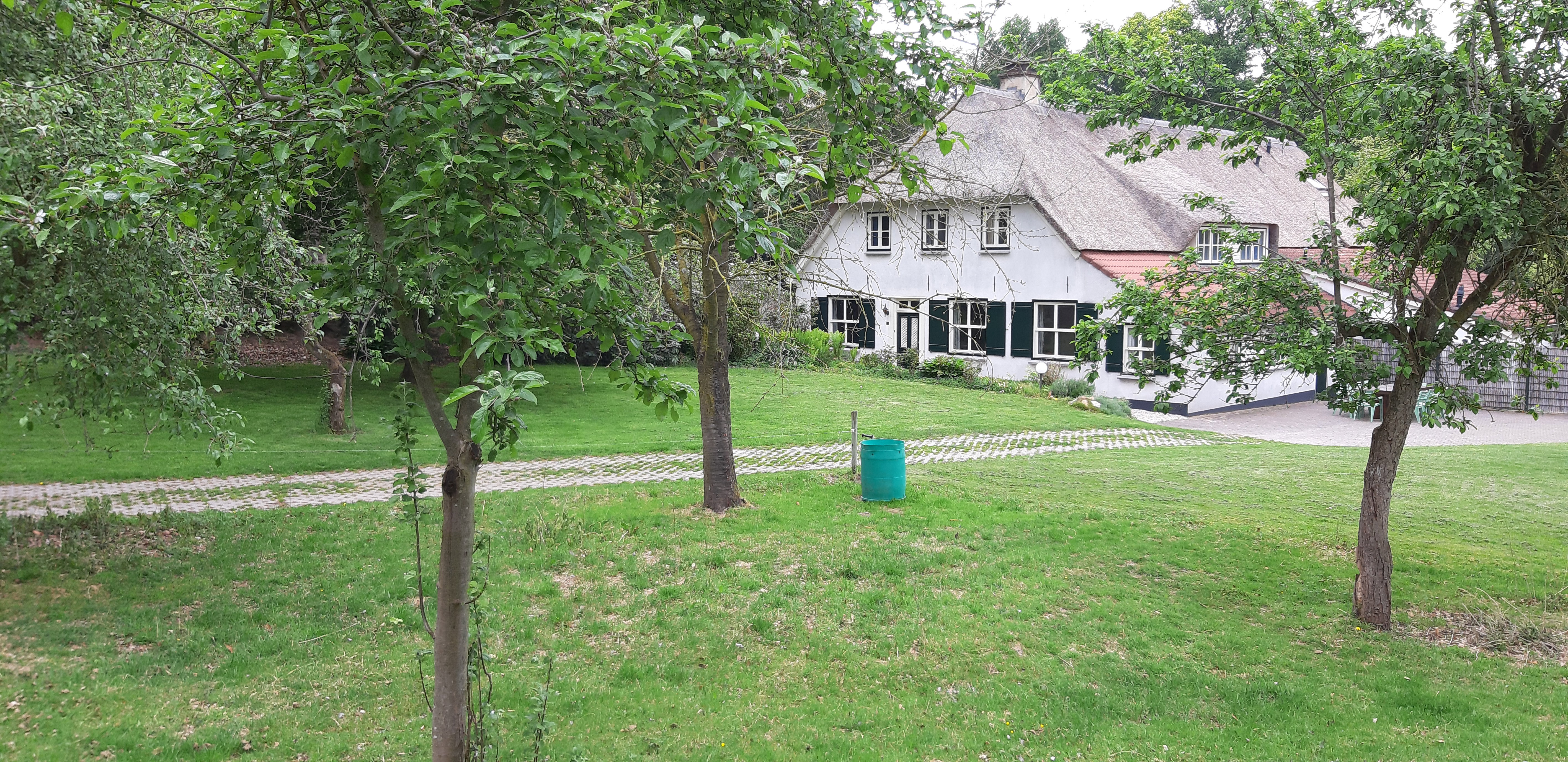 - image: 11