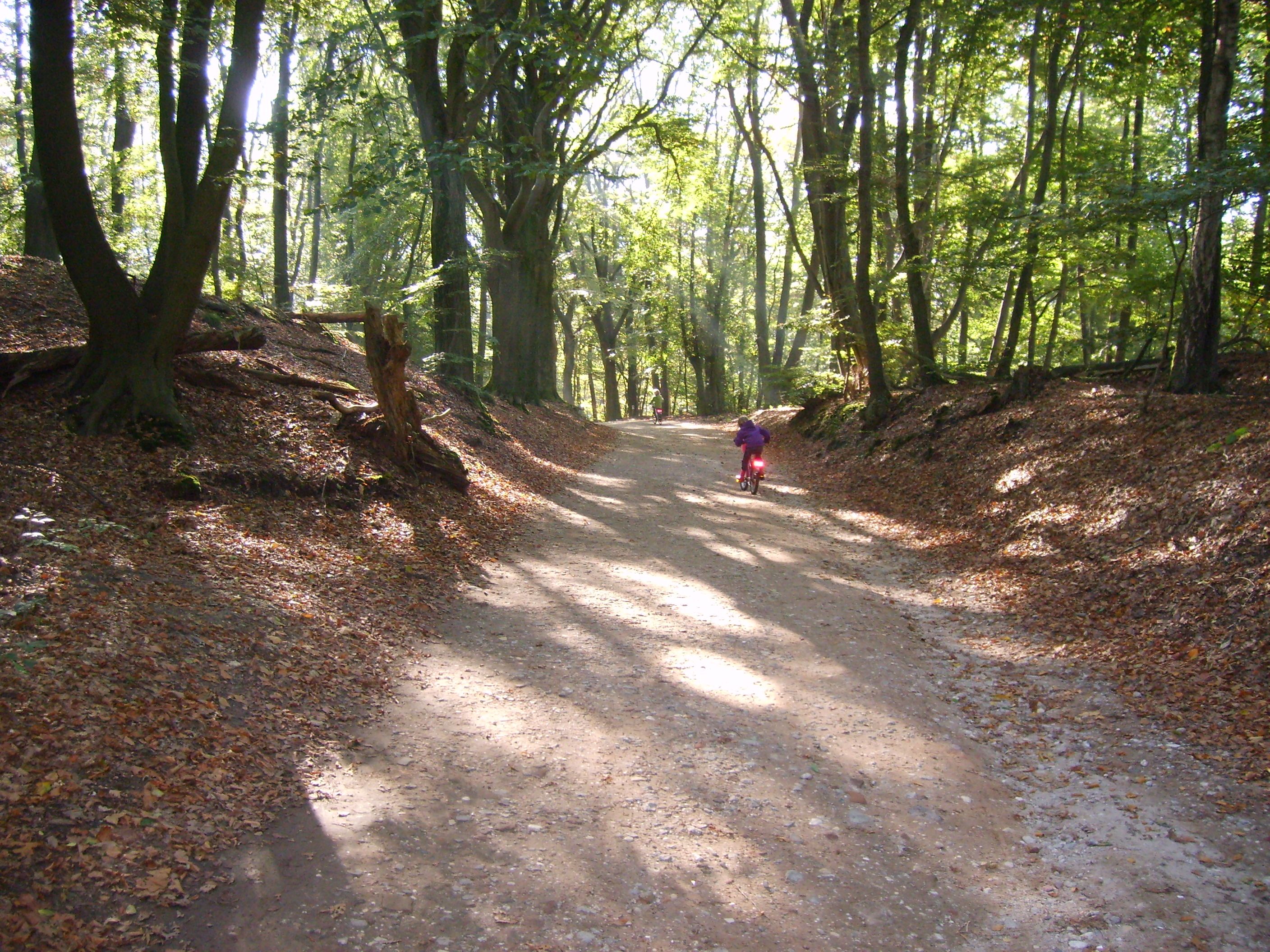 Naturhäuschen in Berg en Dal
