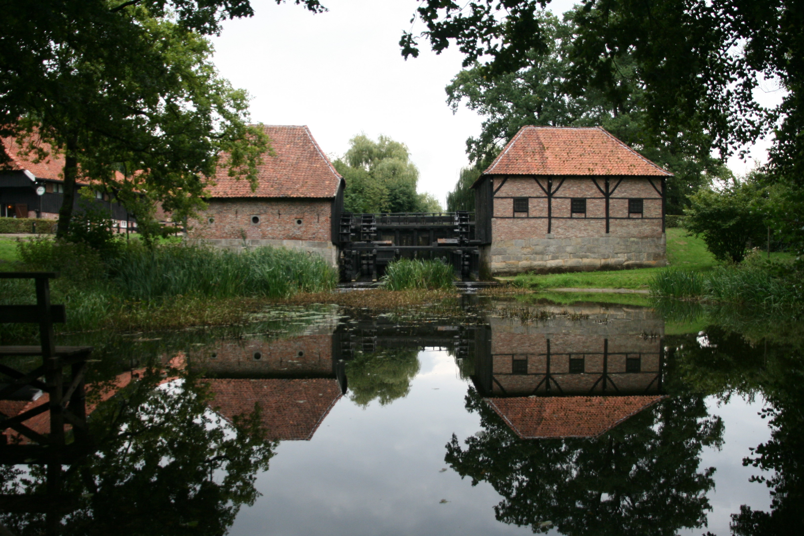 - image: 19