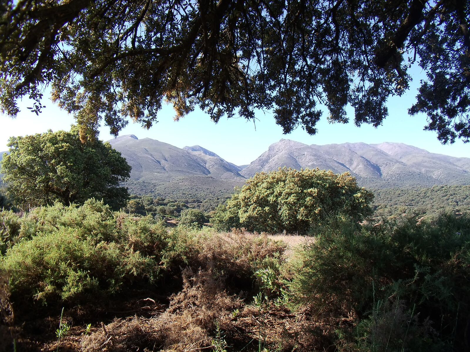 - image: 10