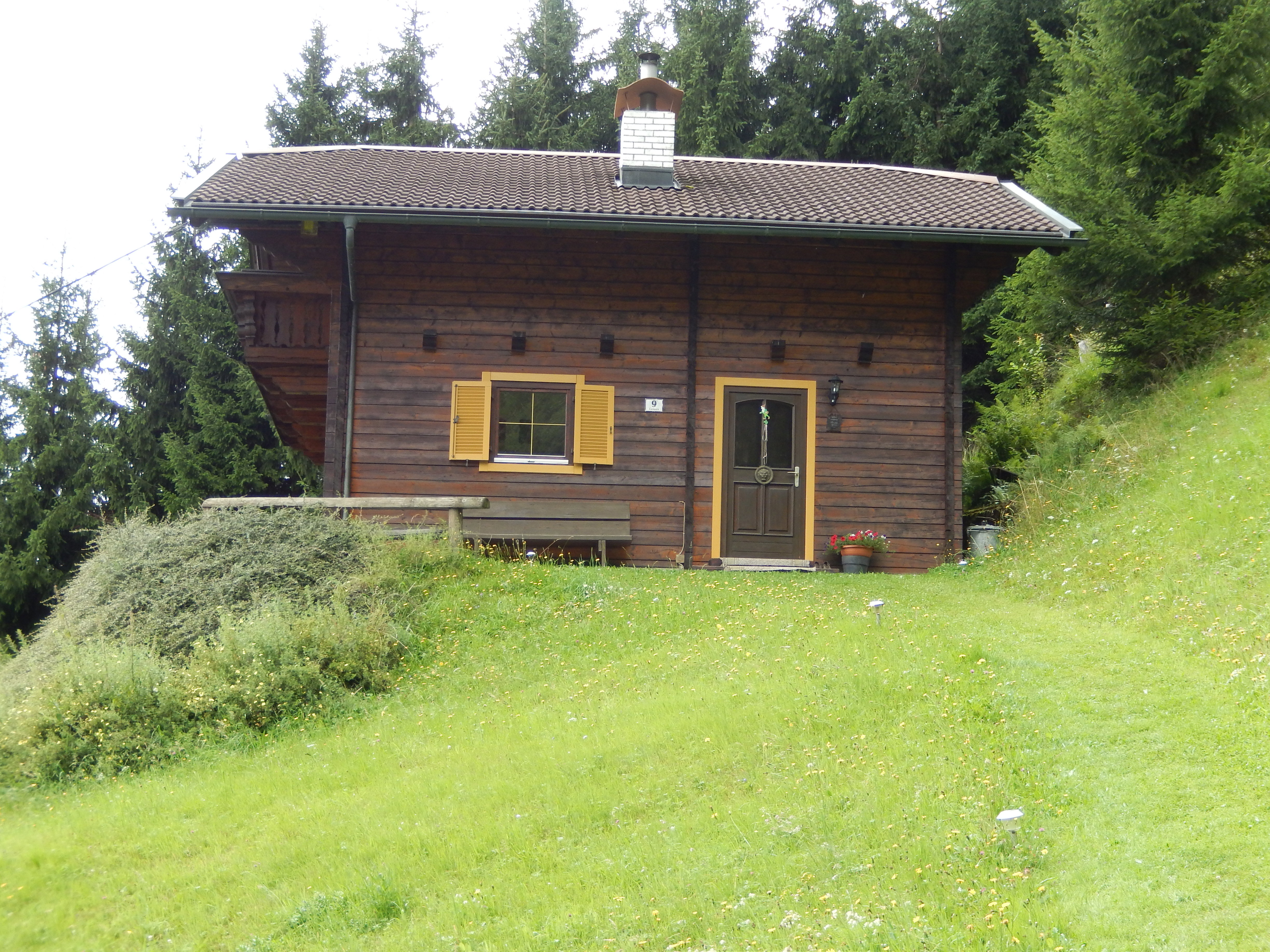 - image: 12