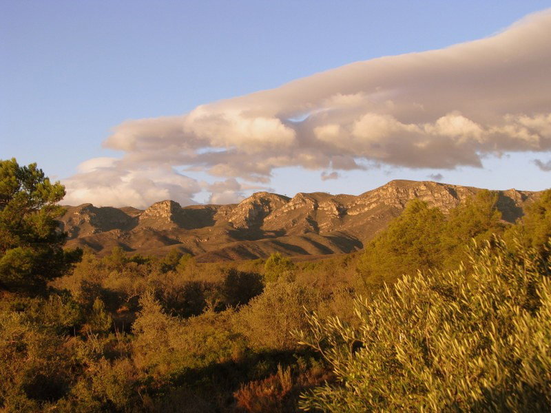 - image: 28