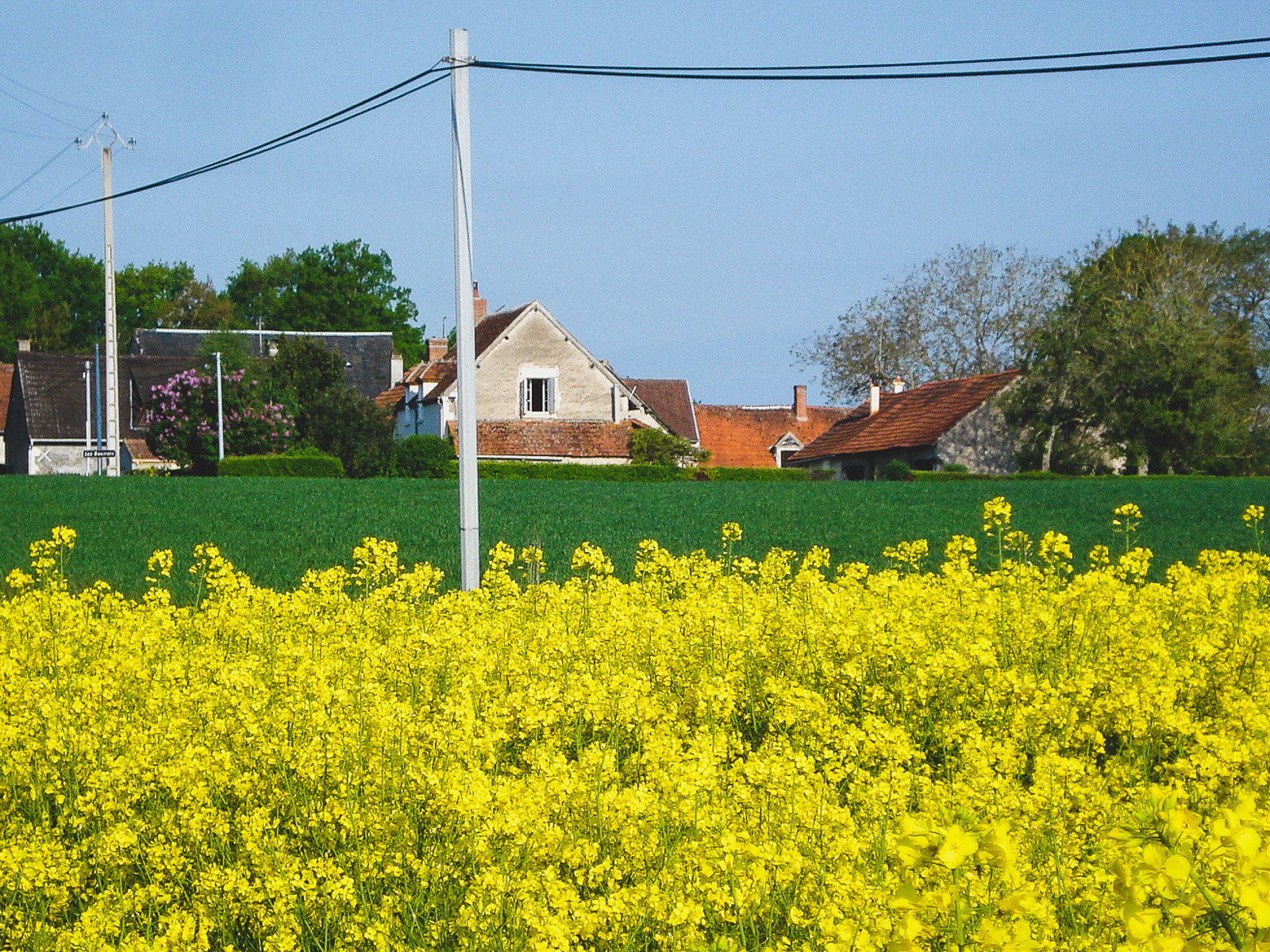 - image: 13