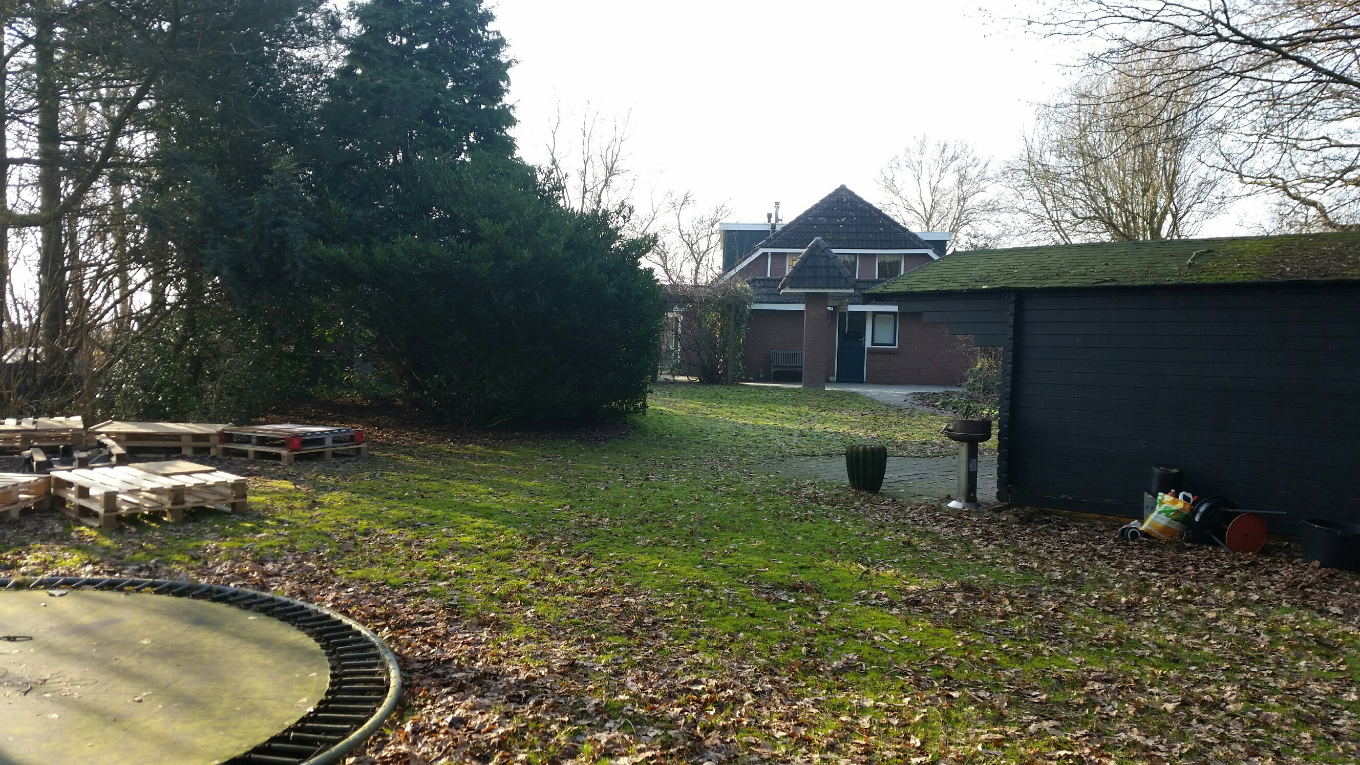 Maison nature à Nieuwe Pekela