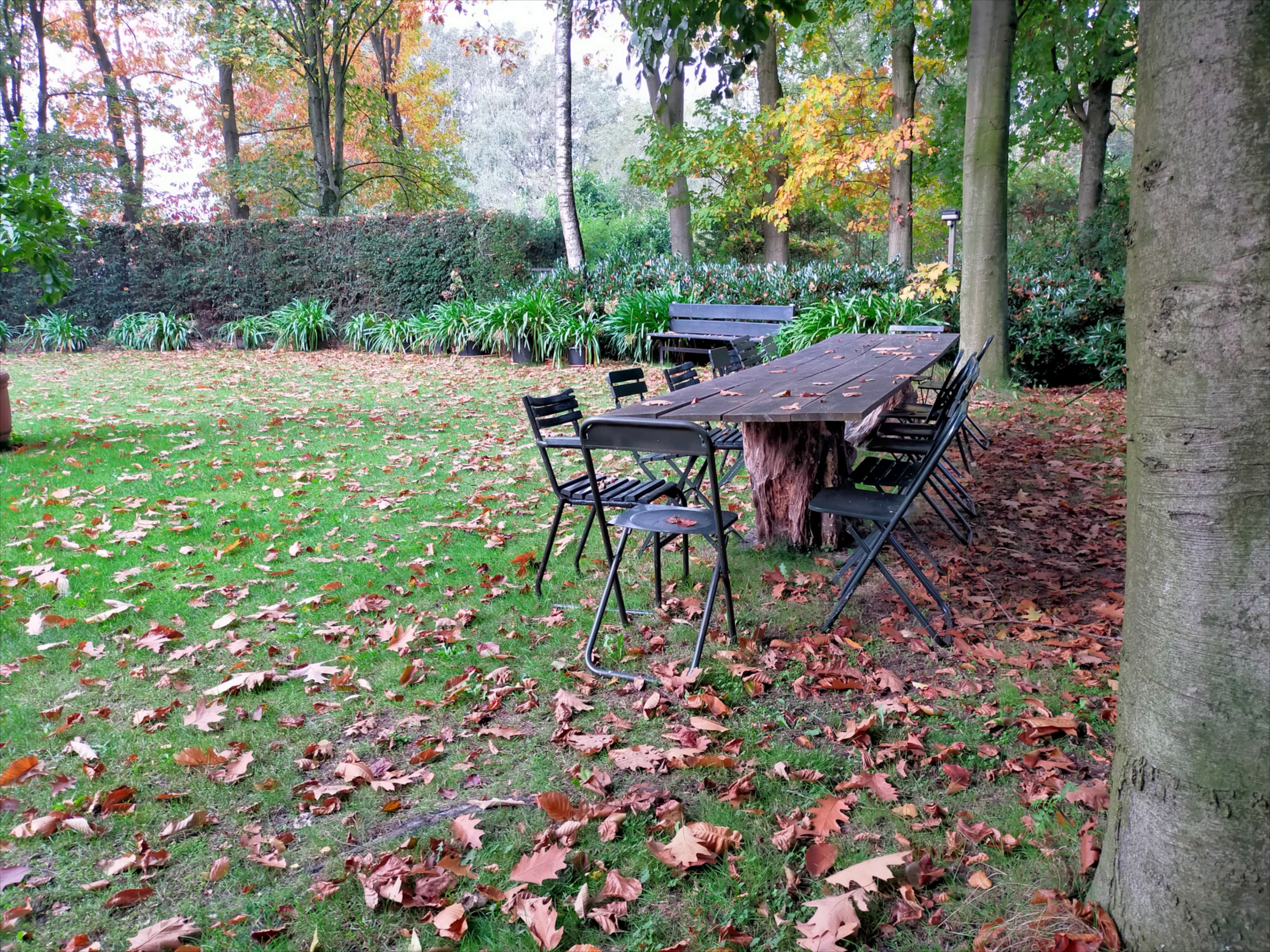 Natuurhuisje in Nederweert