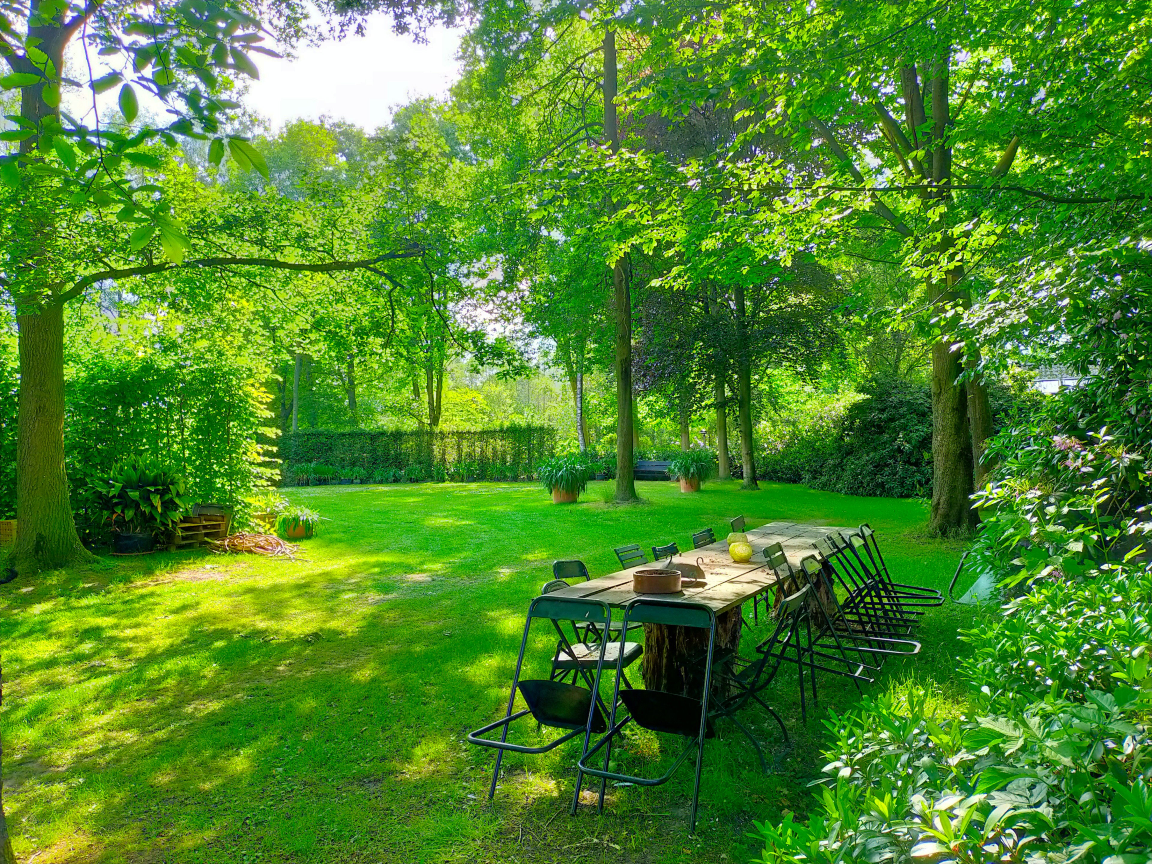Natuurhuisje in Nederweert