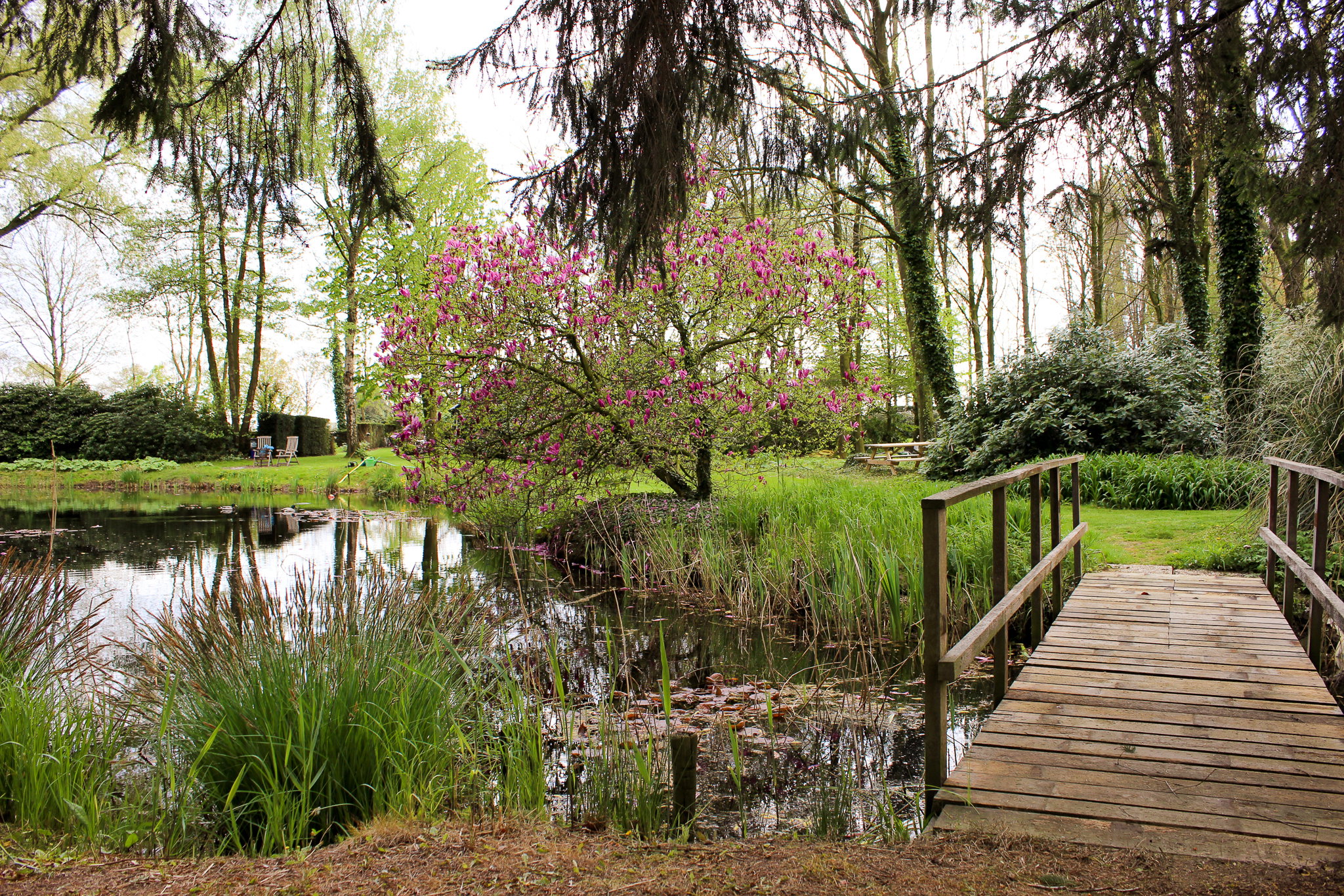 Naturhäuschen in Nederweert