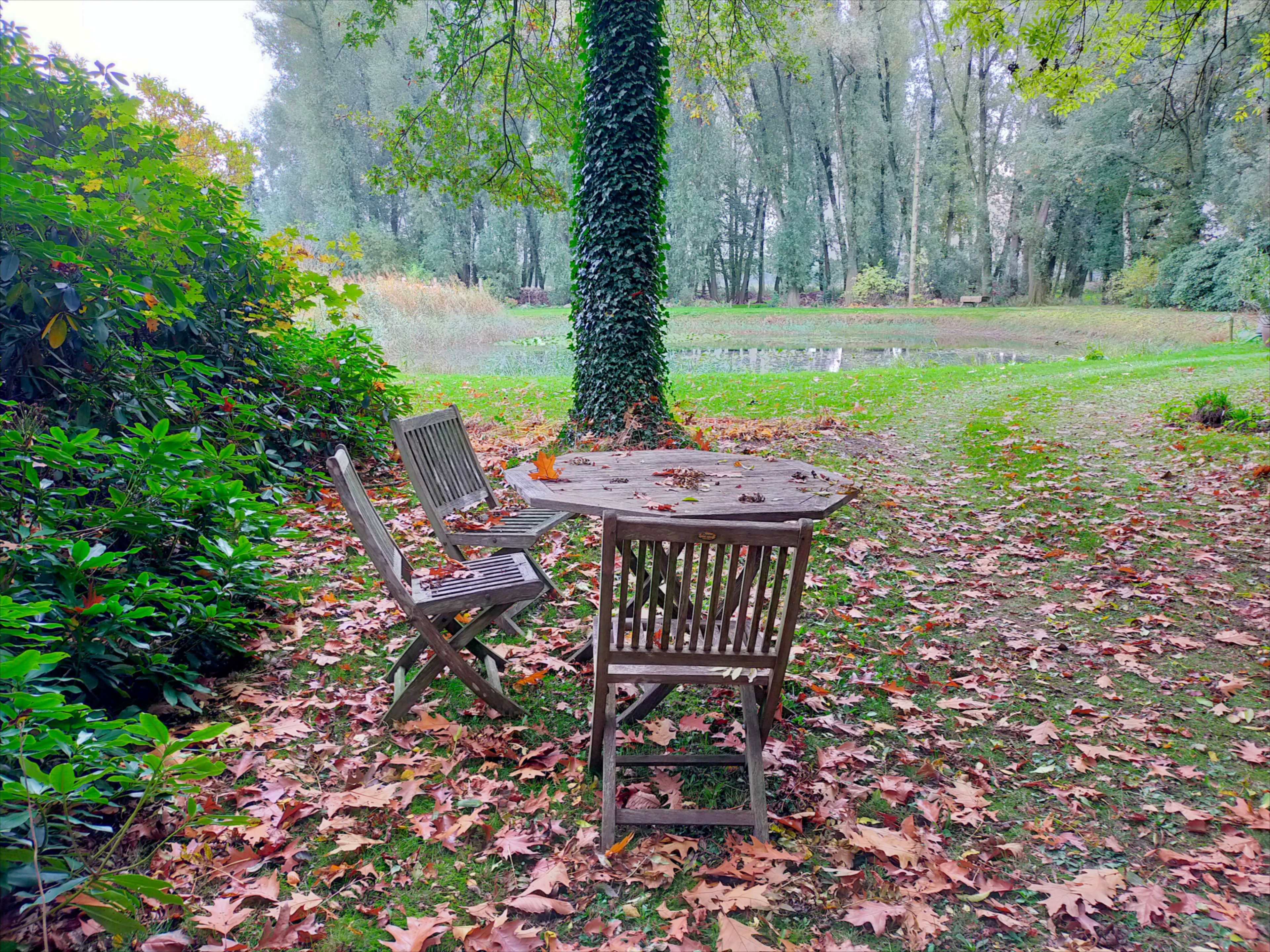 Natuurhuisje in Nederweert