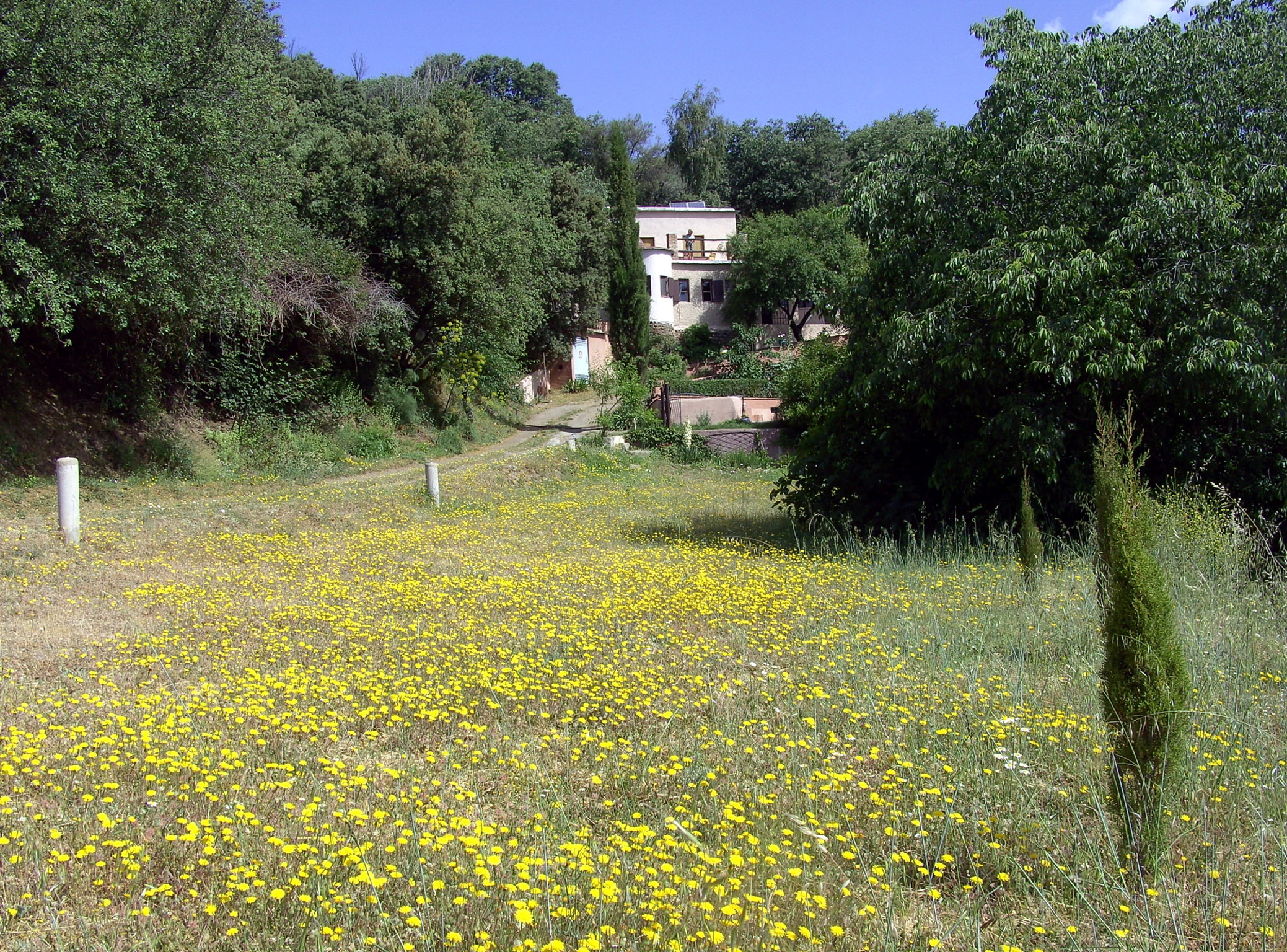 Maison nature à la Taha - Pitres - Las Alpujarras