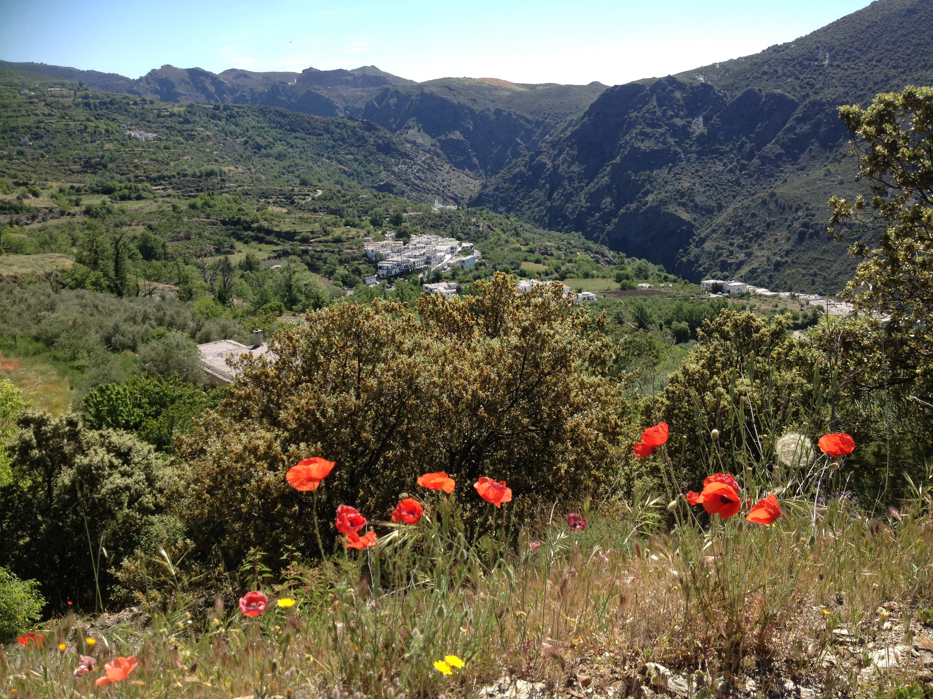 Maison nature à la Taha - Pitres - Las Alpujarras