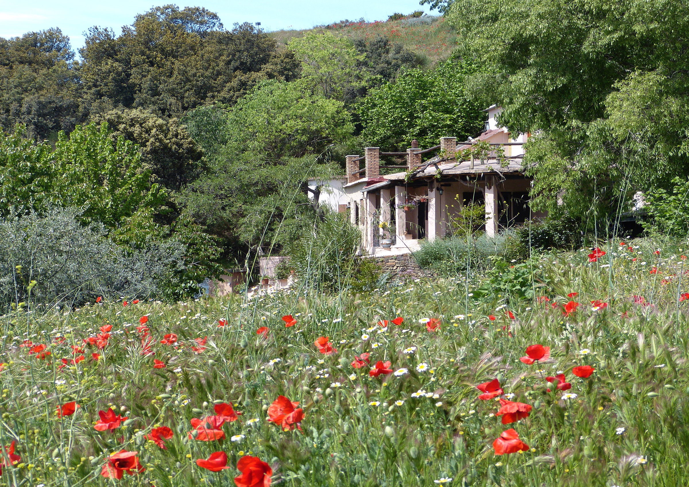 Maison nature à la Taha - Pitres - Las Alpujarras