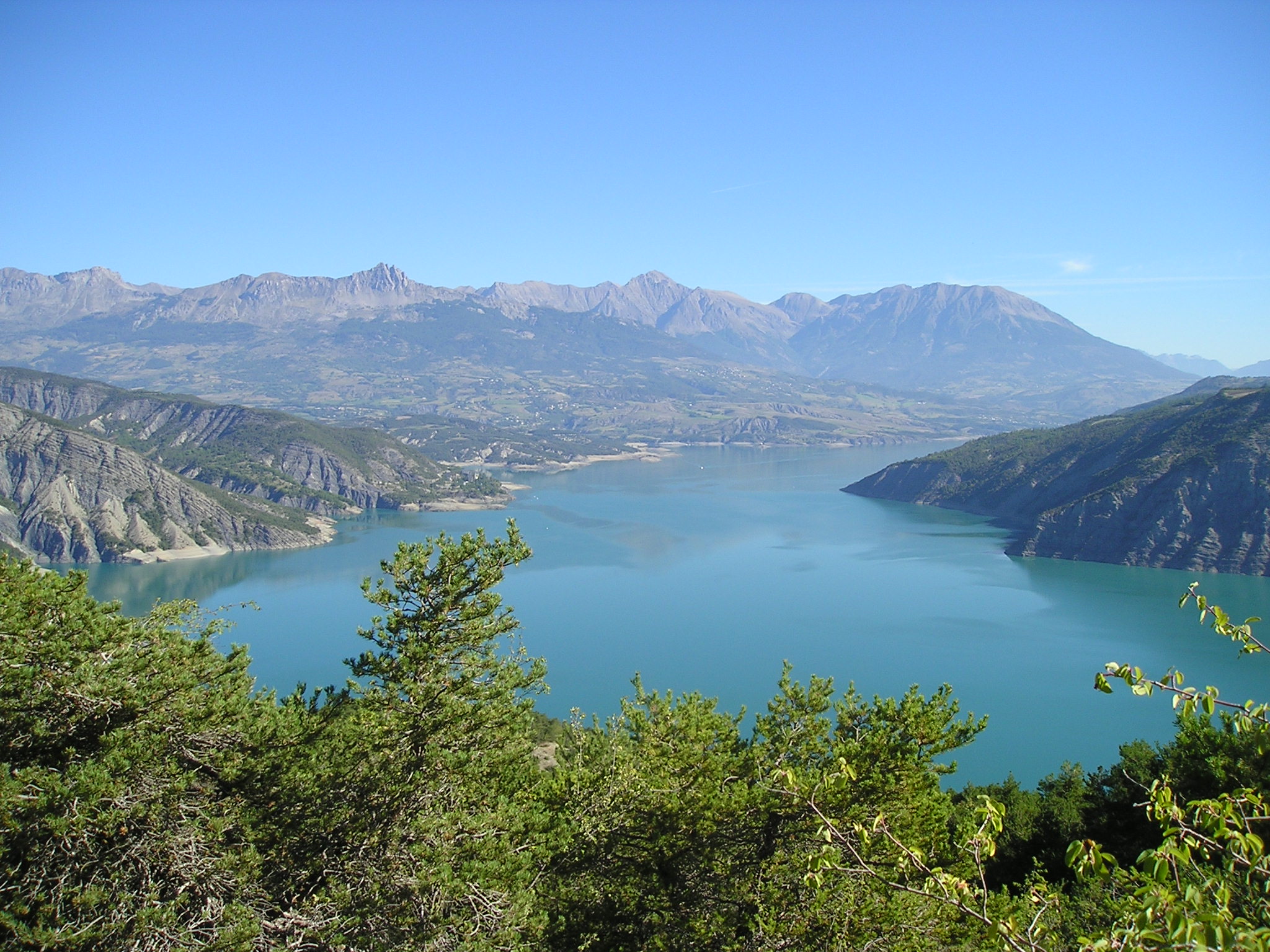 - image: 11