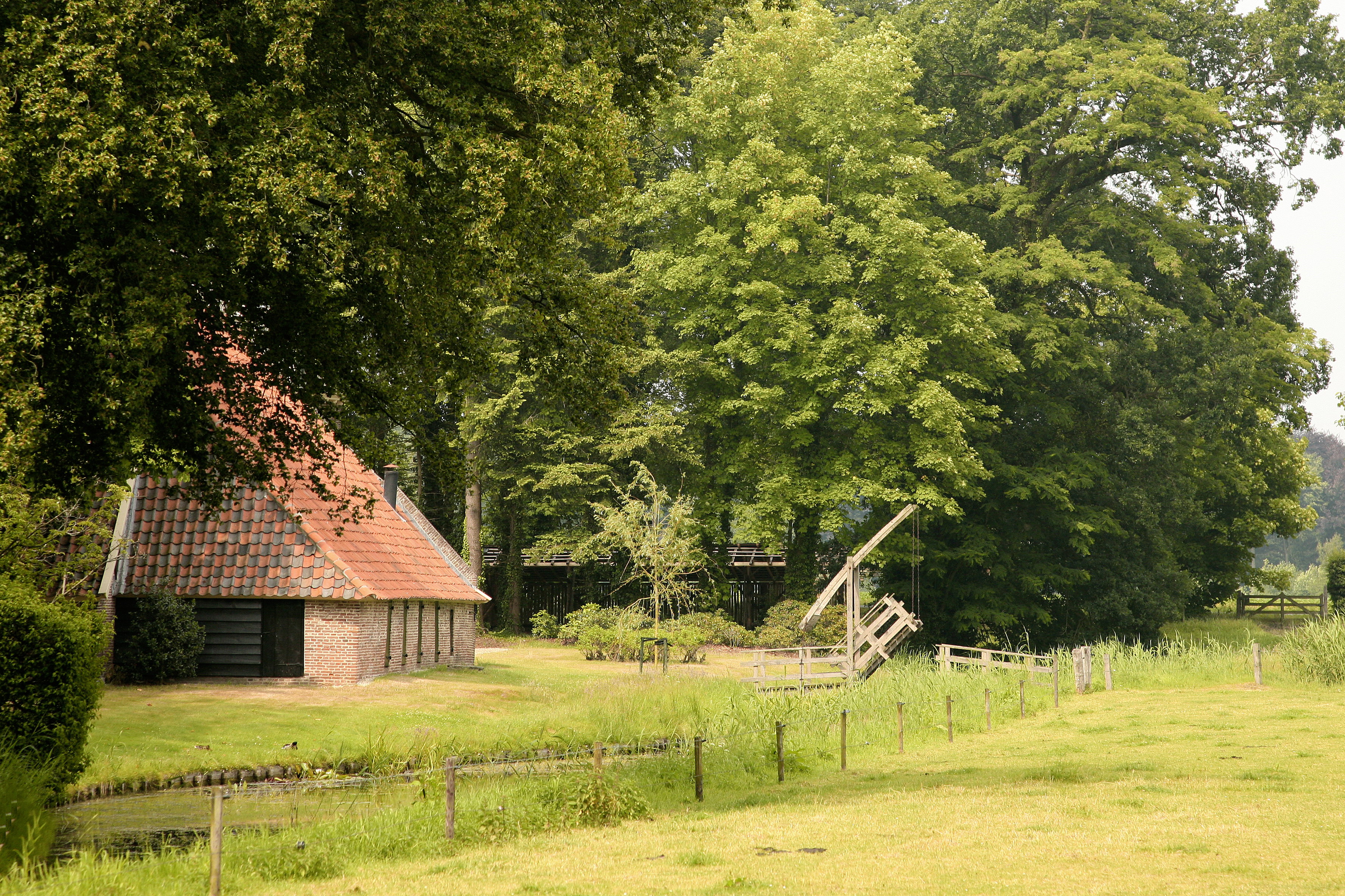 - image: 15