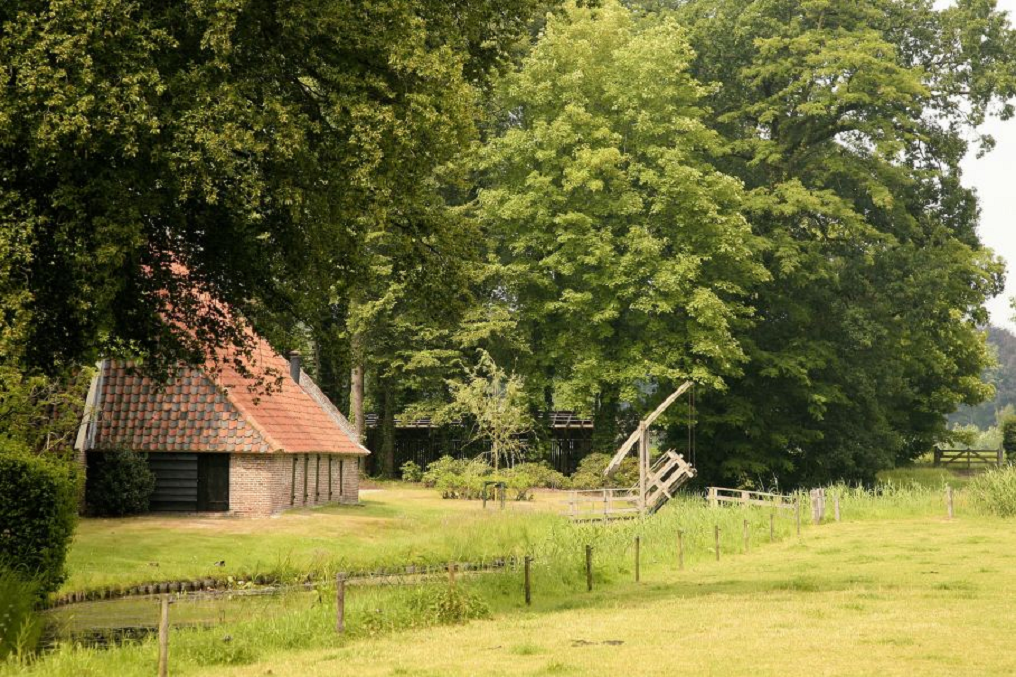 - image: 13