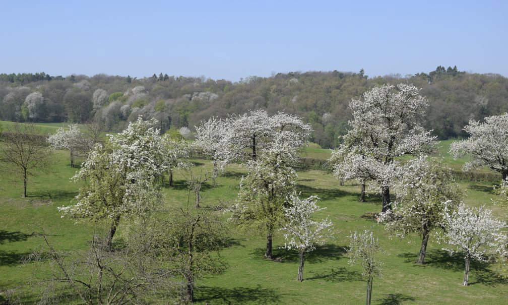 Naturhäuschen in Mechelen