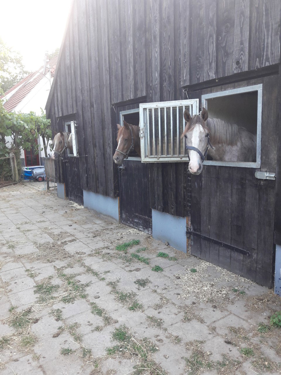 - image: 22