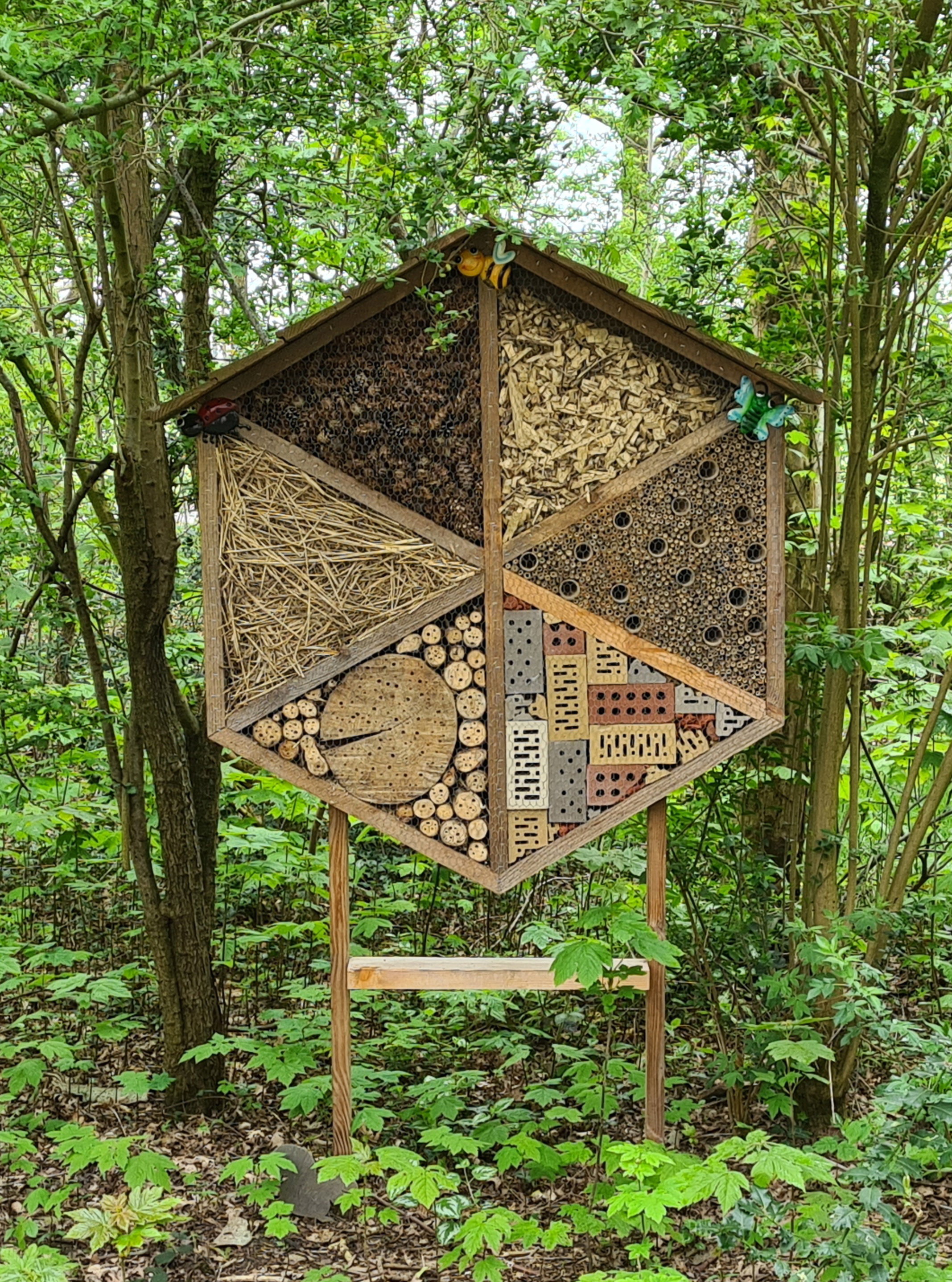 Natuurhuisje in Gasselte