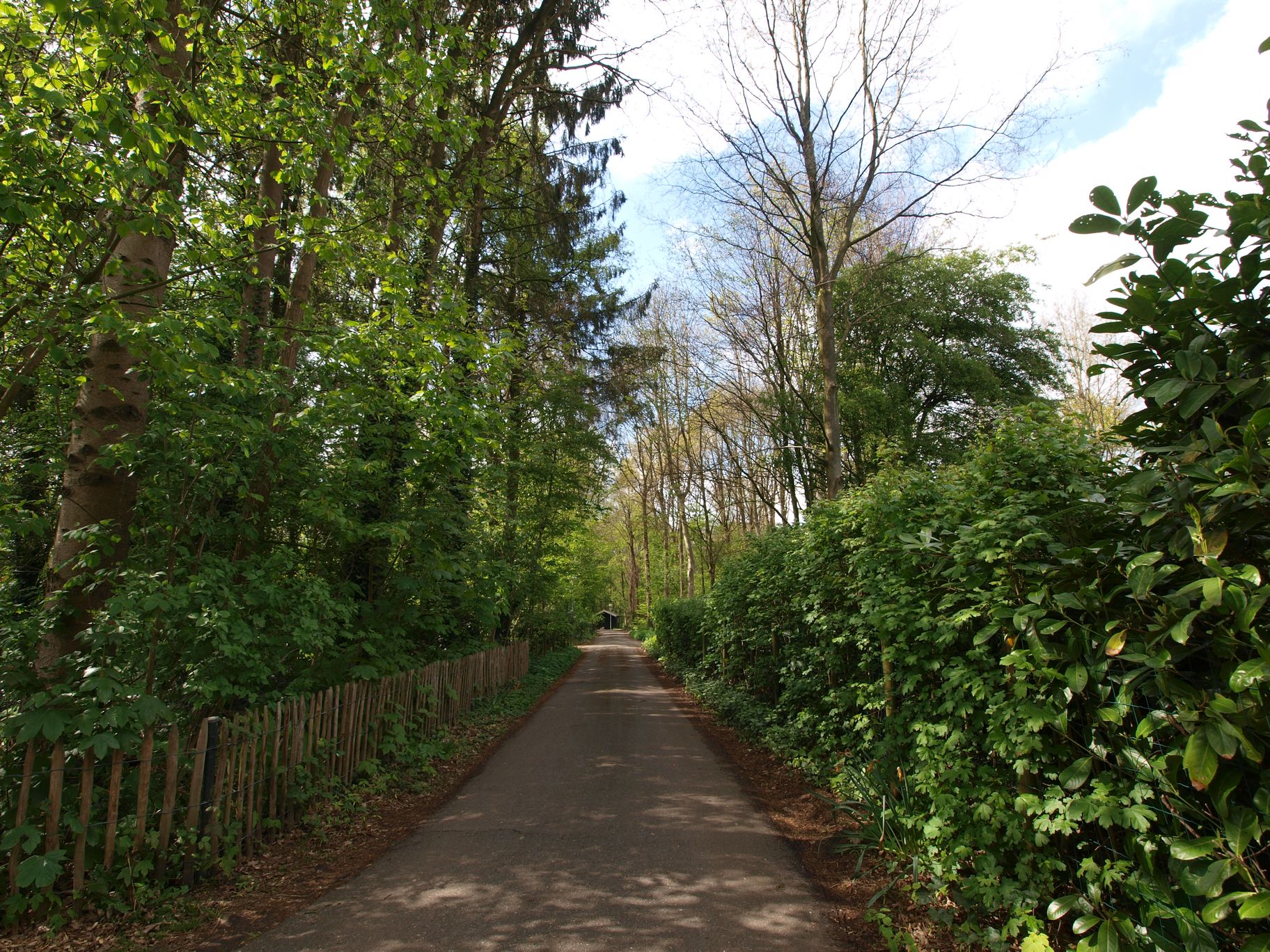 - image: 25