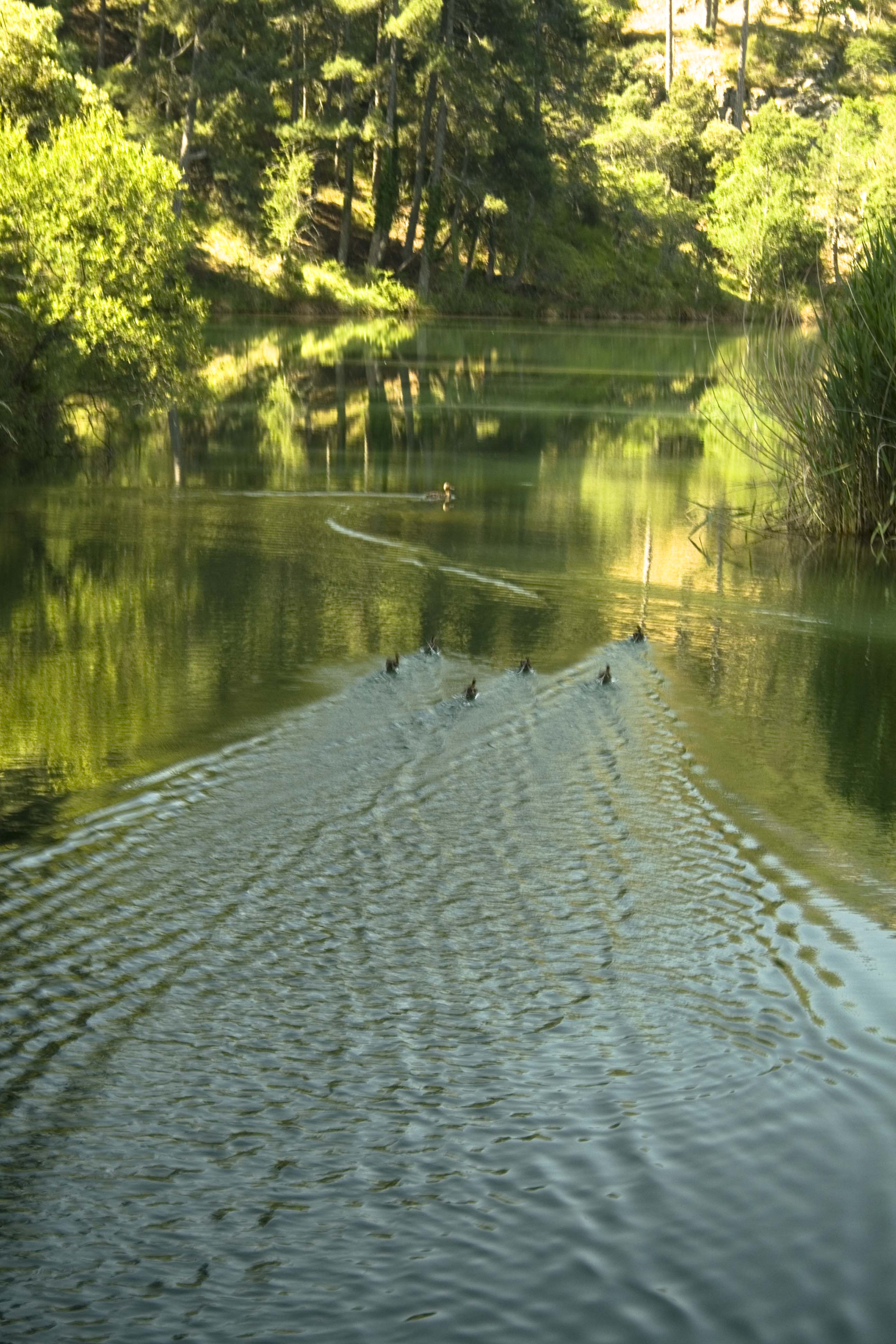 - image: 14
