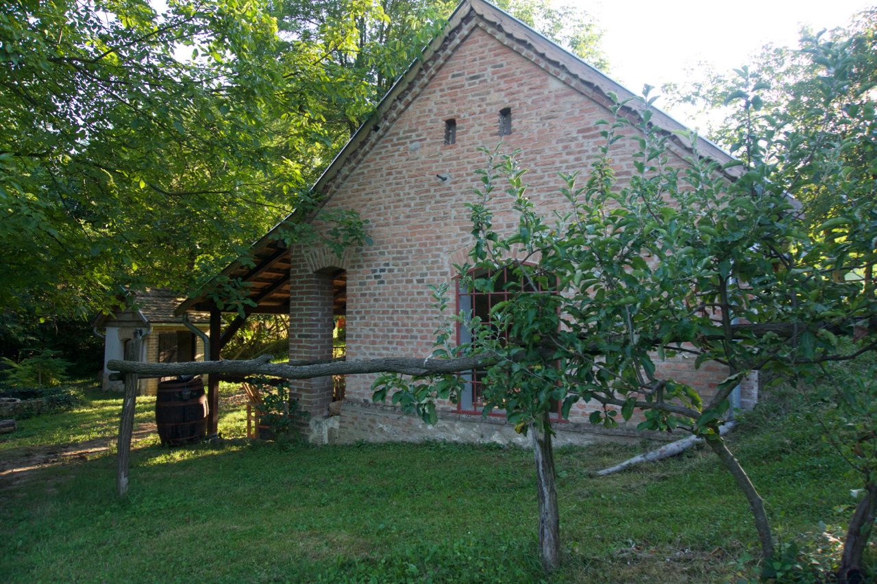 - image: 15