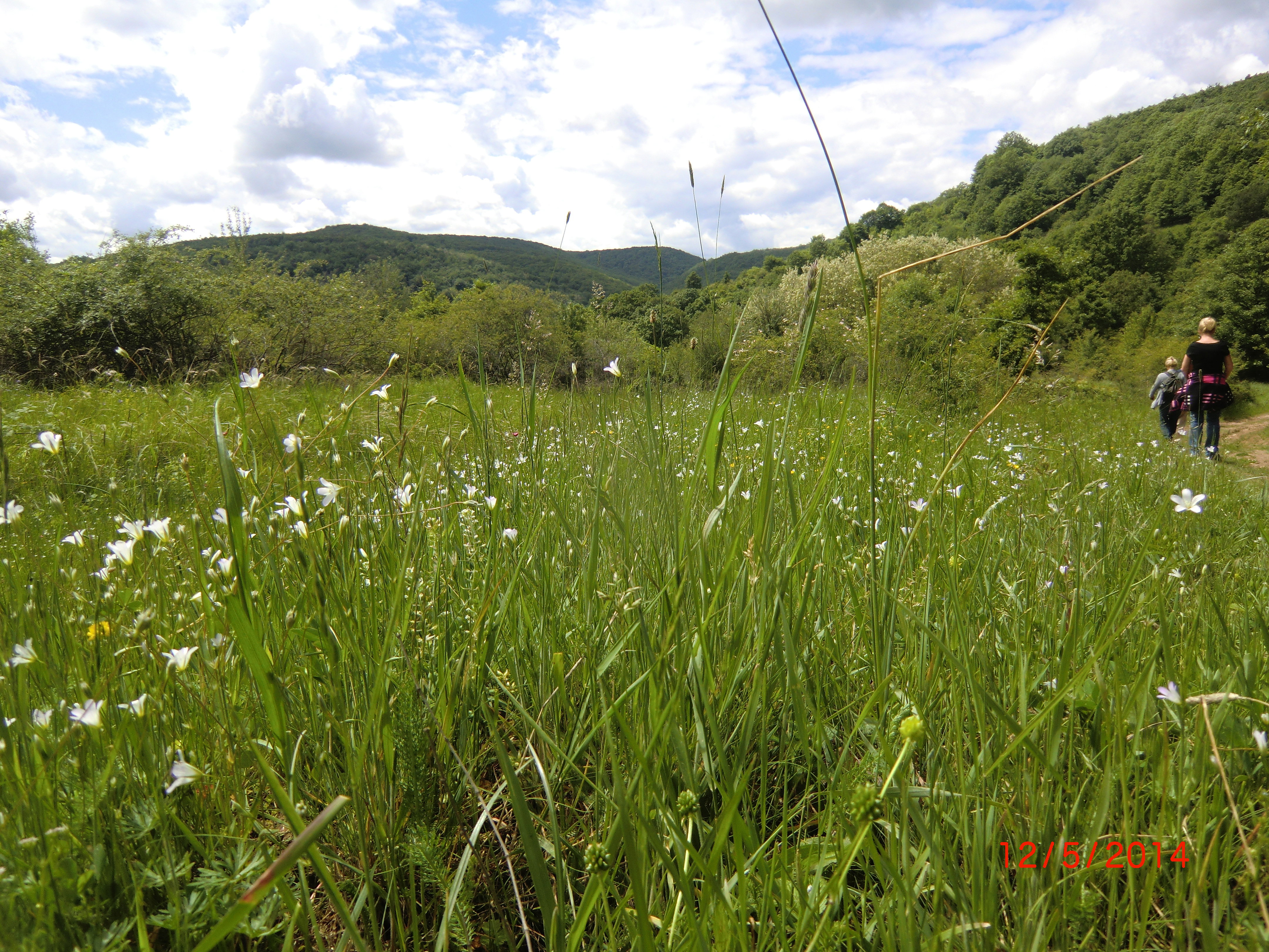 - image: 26