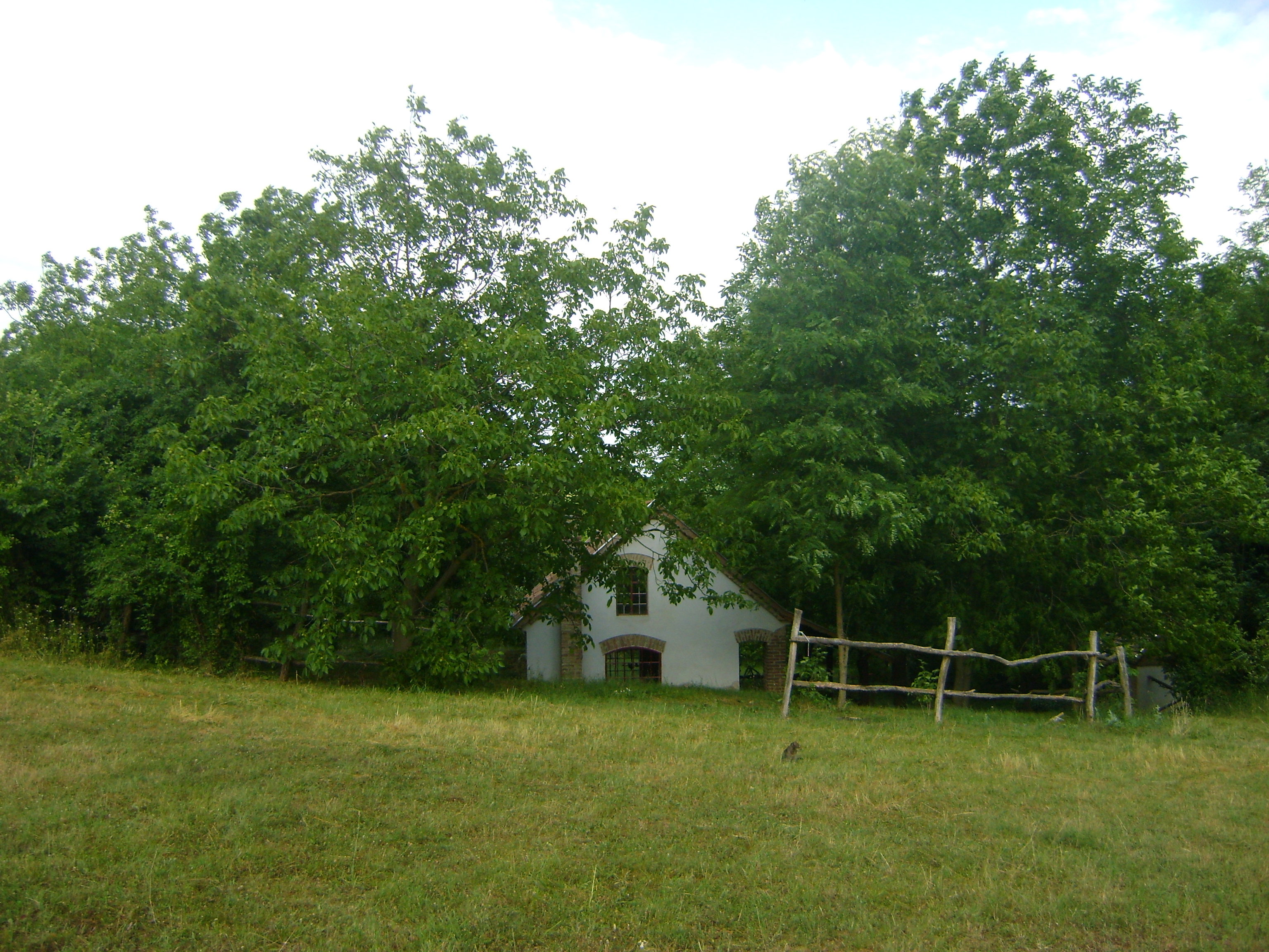 - image: 12