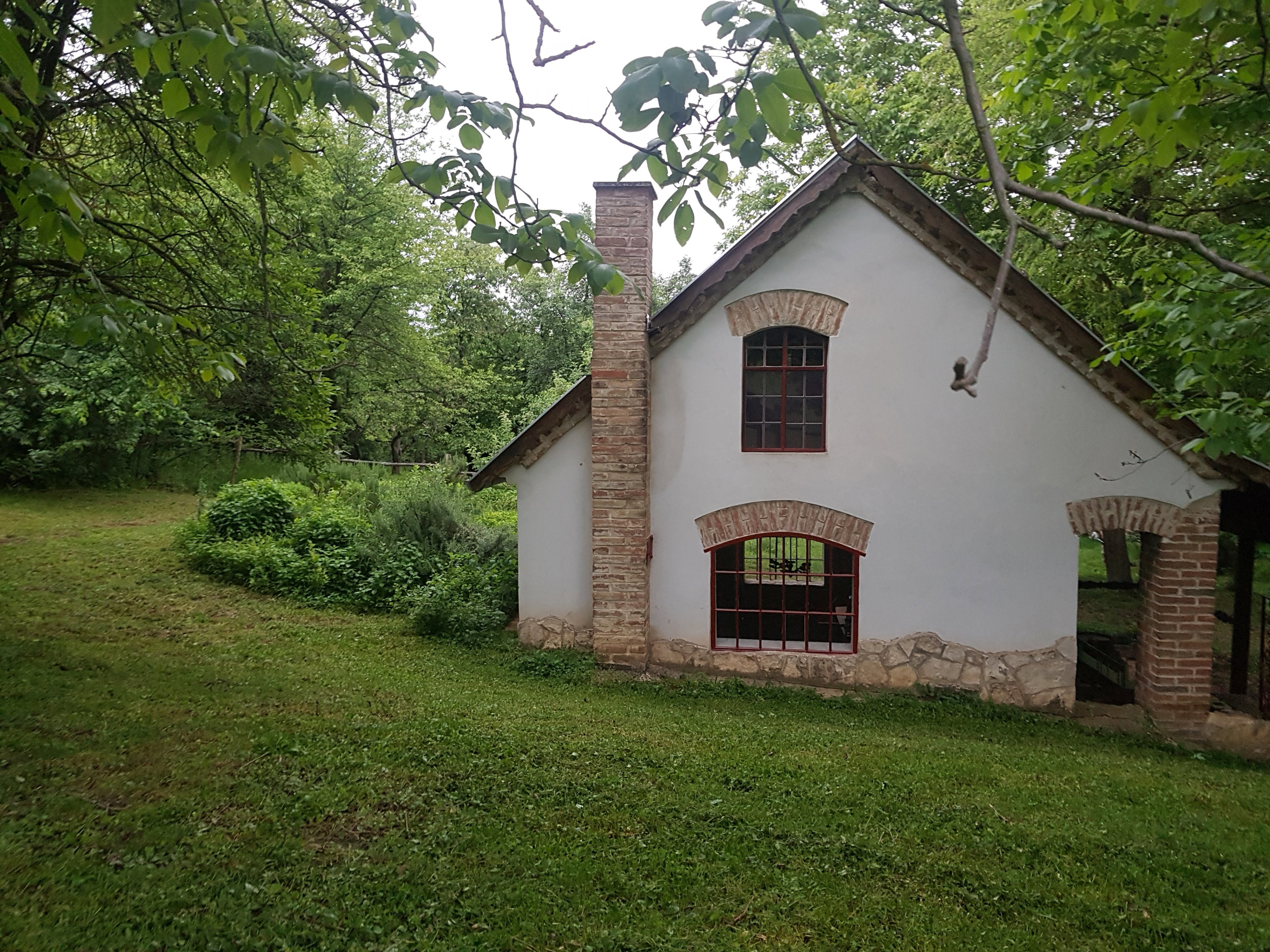 - image: 13