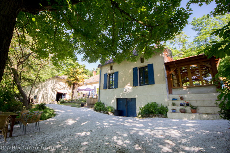 - image: 12