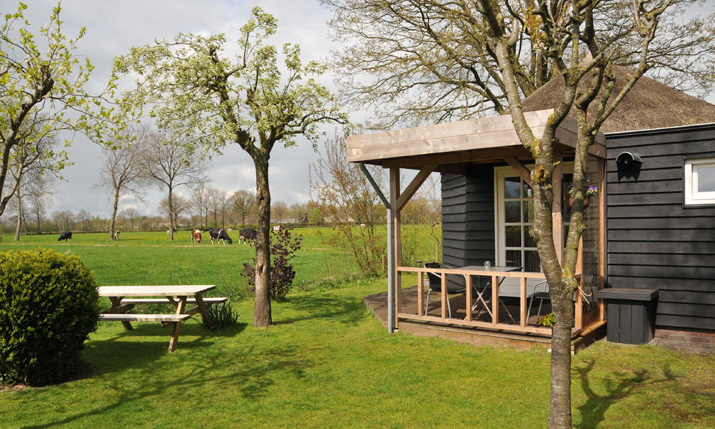 Natuurhuisje in Balkbrug