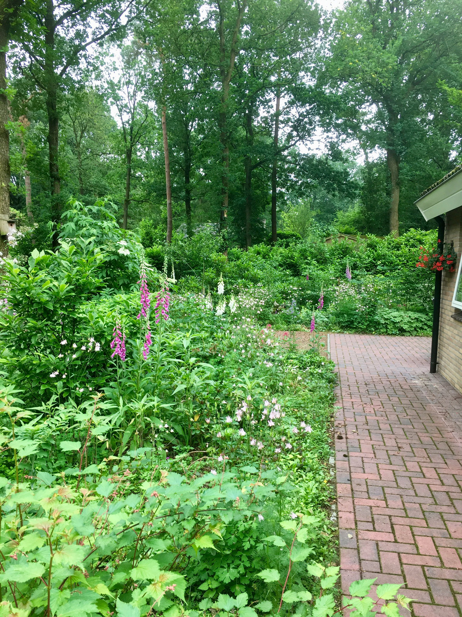 Maison nature à Hoogersmilde