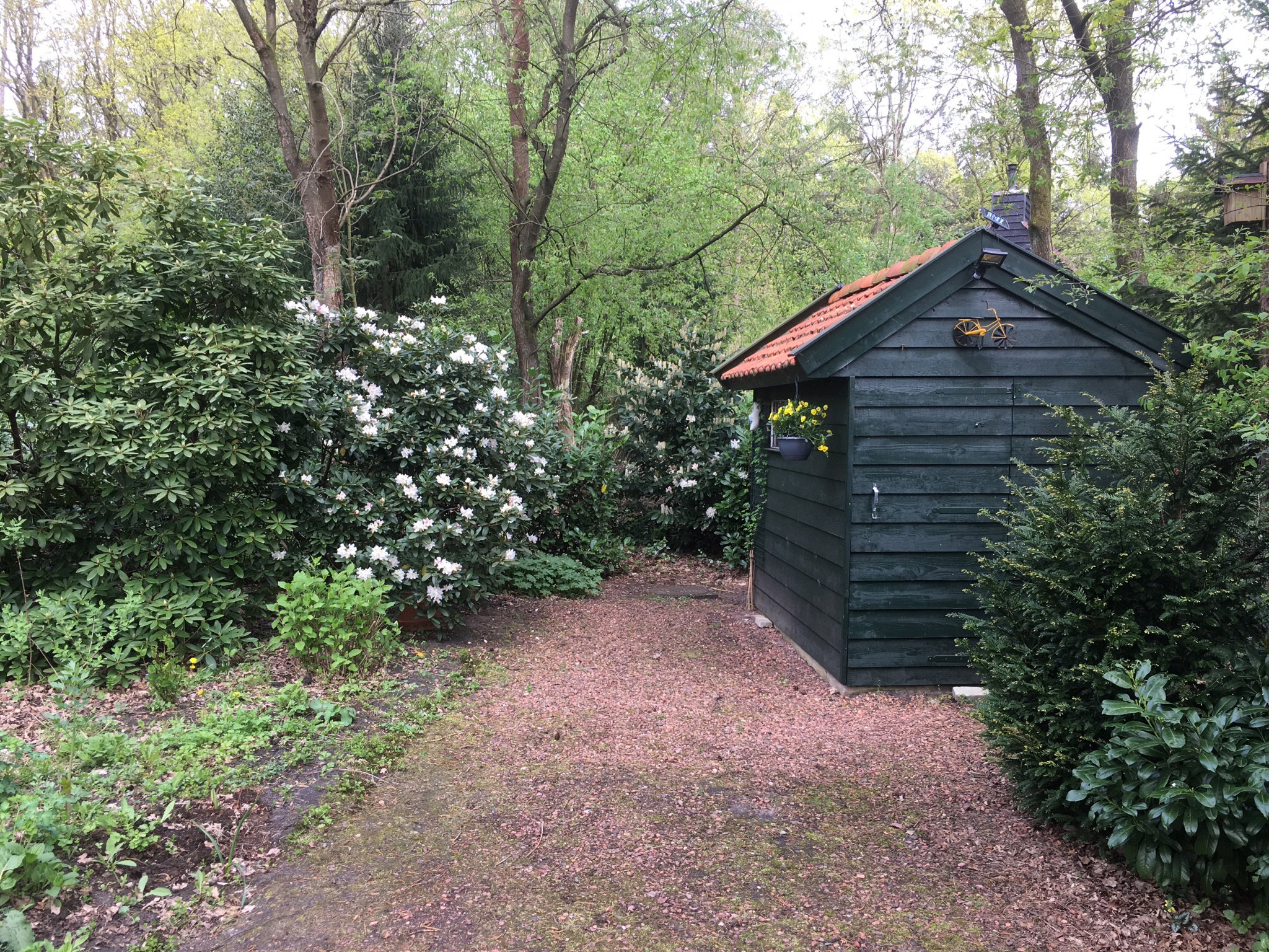 Maison nature à Hoogersmilde