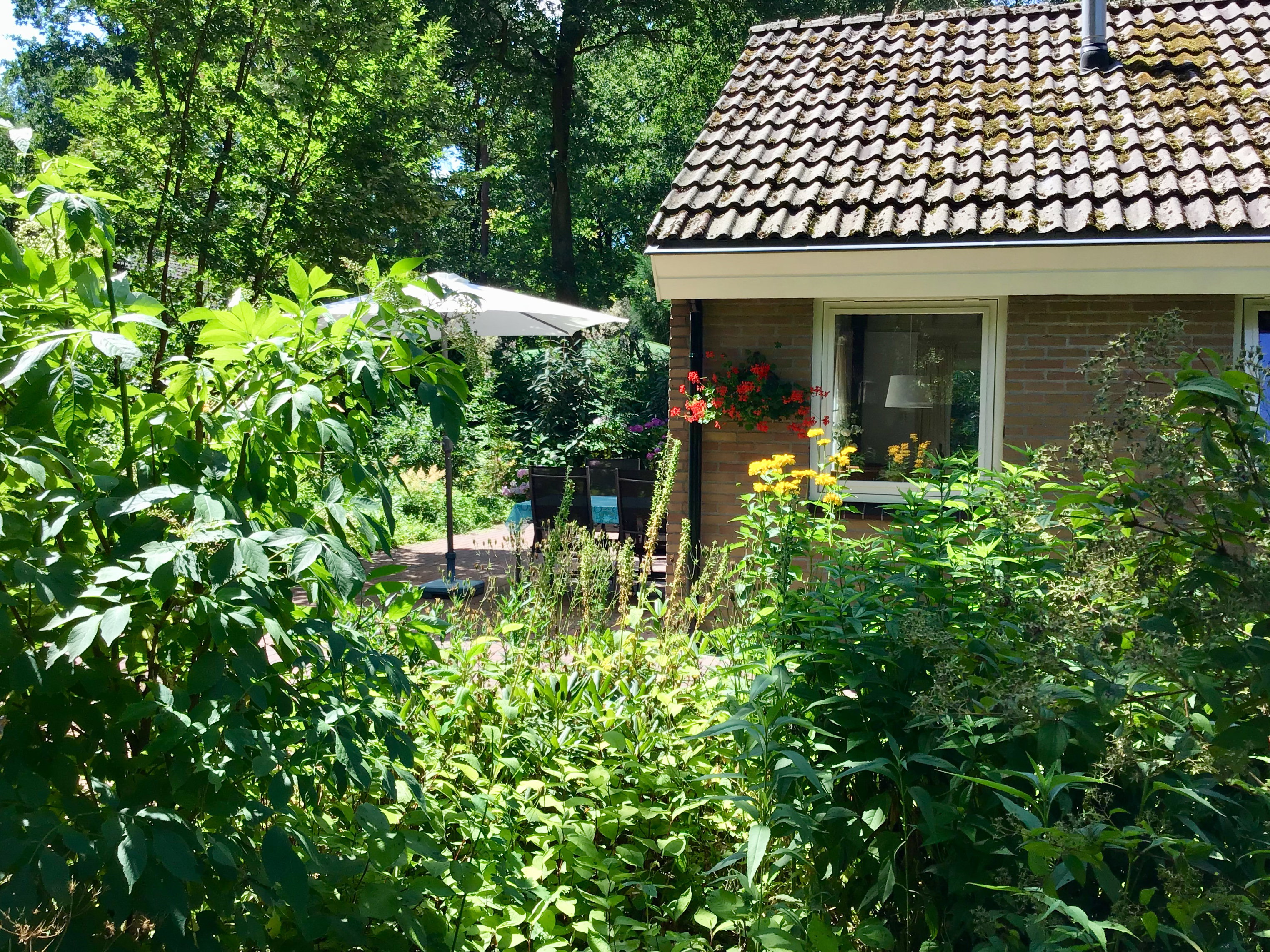 Maison nature à Hoogersmilde