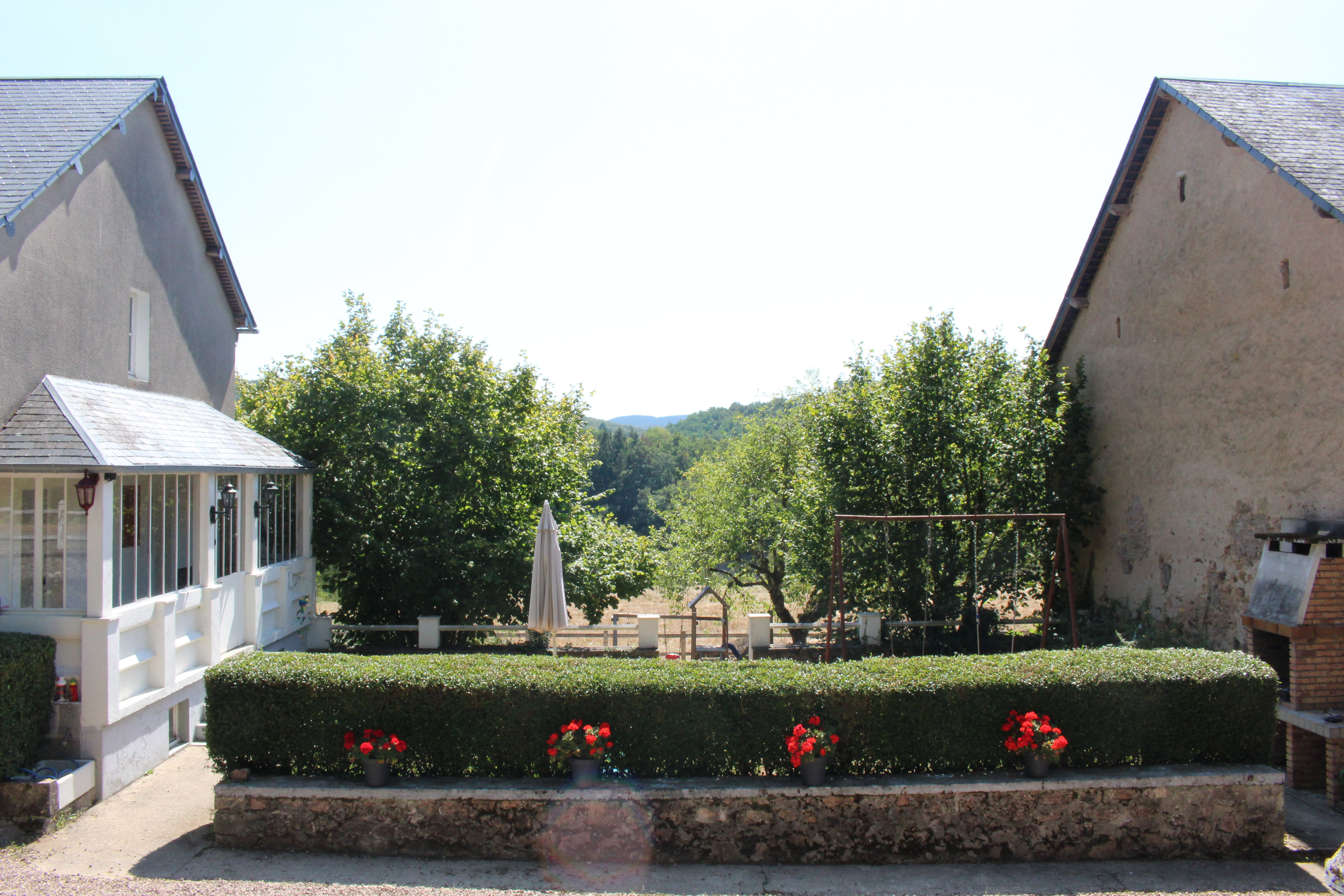 - image: 12