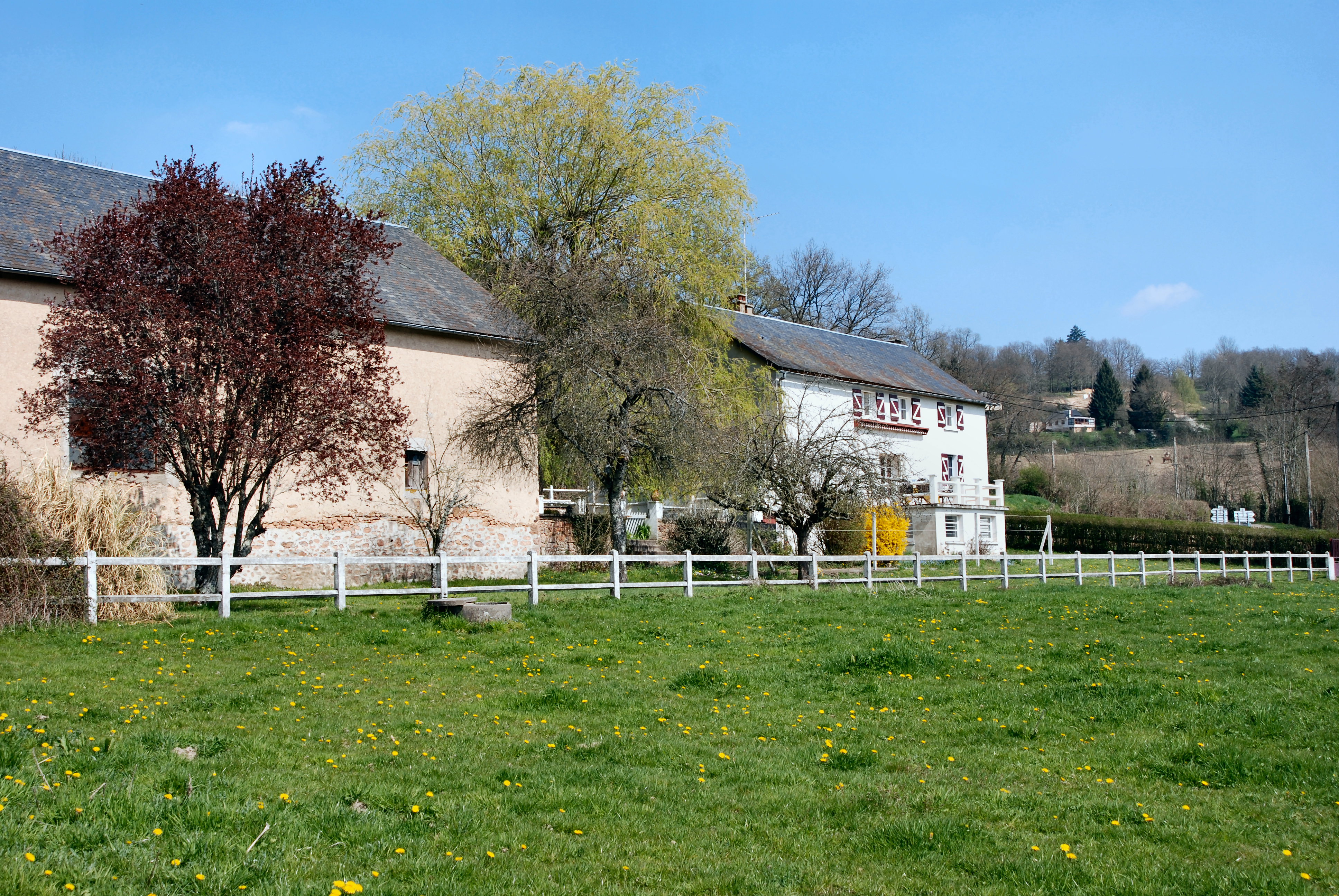 - image: 23
