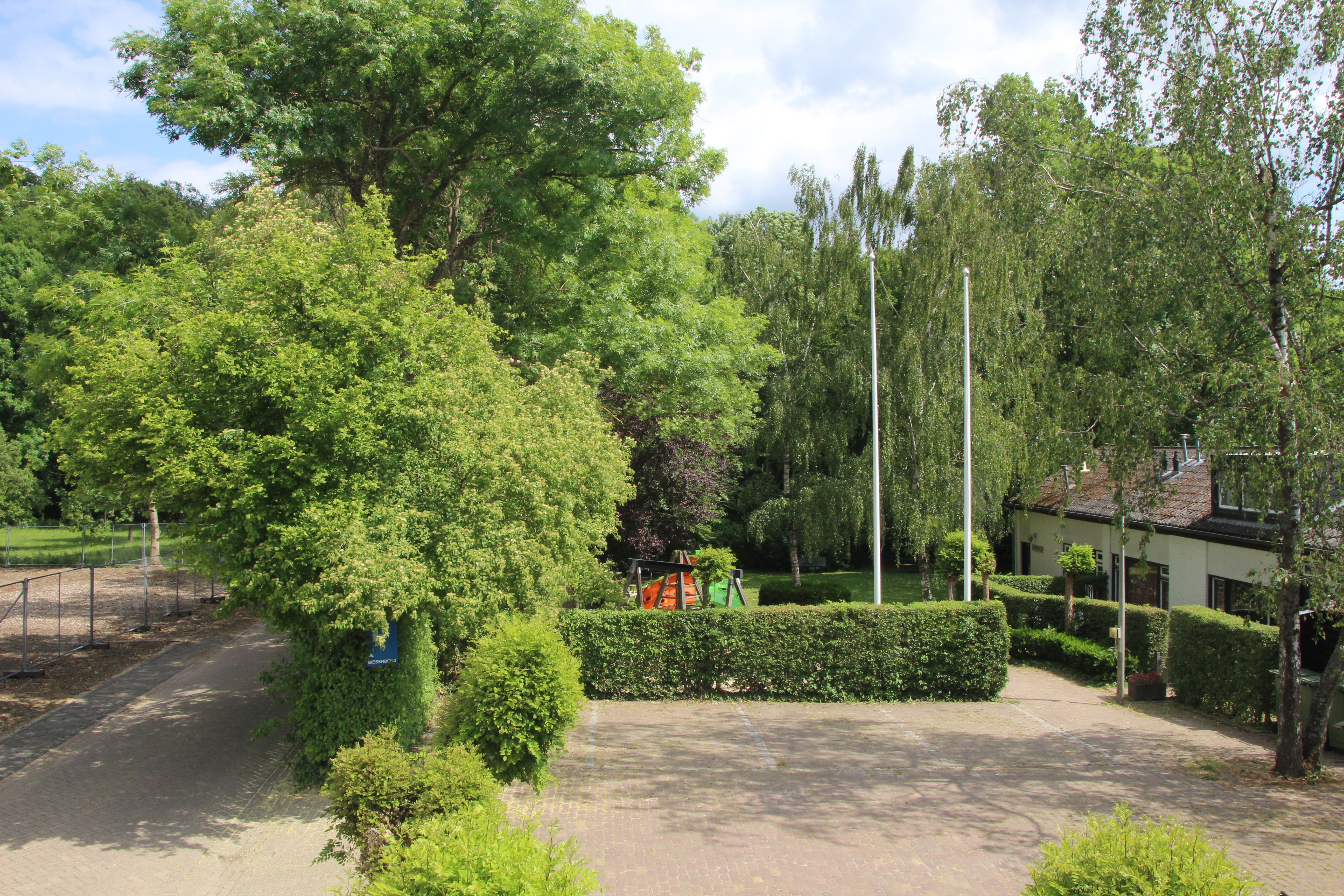 - image: 20