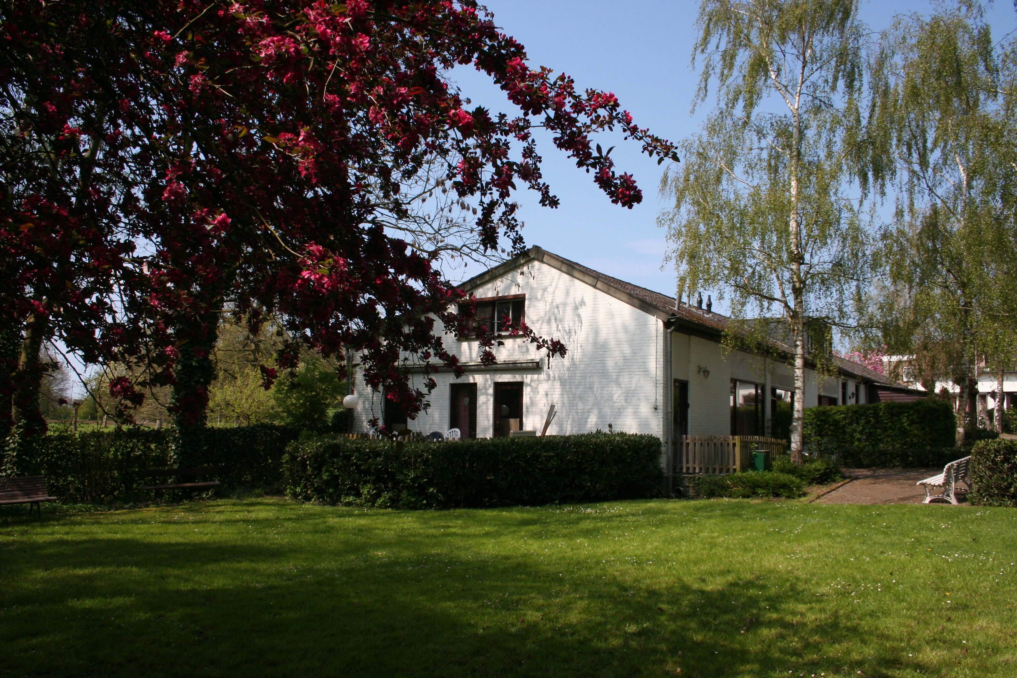 Maison nature à Ulestraten