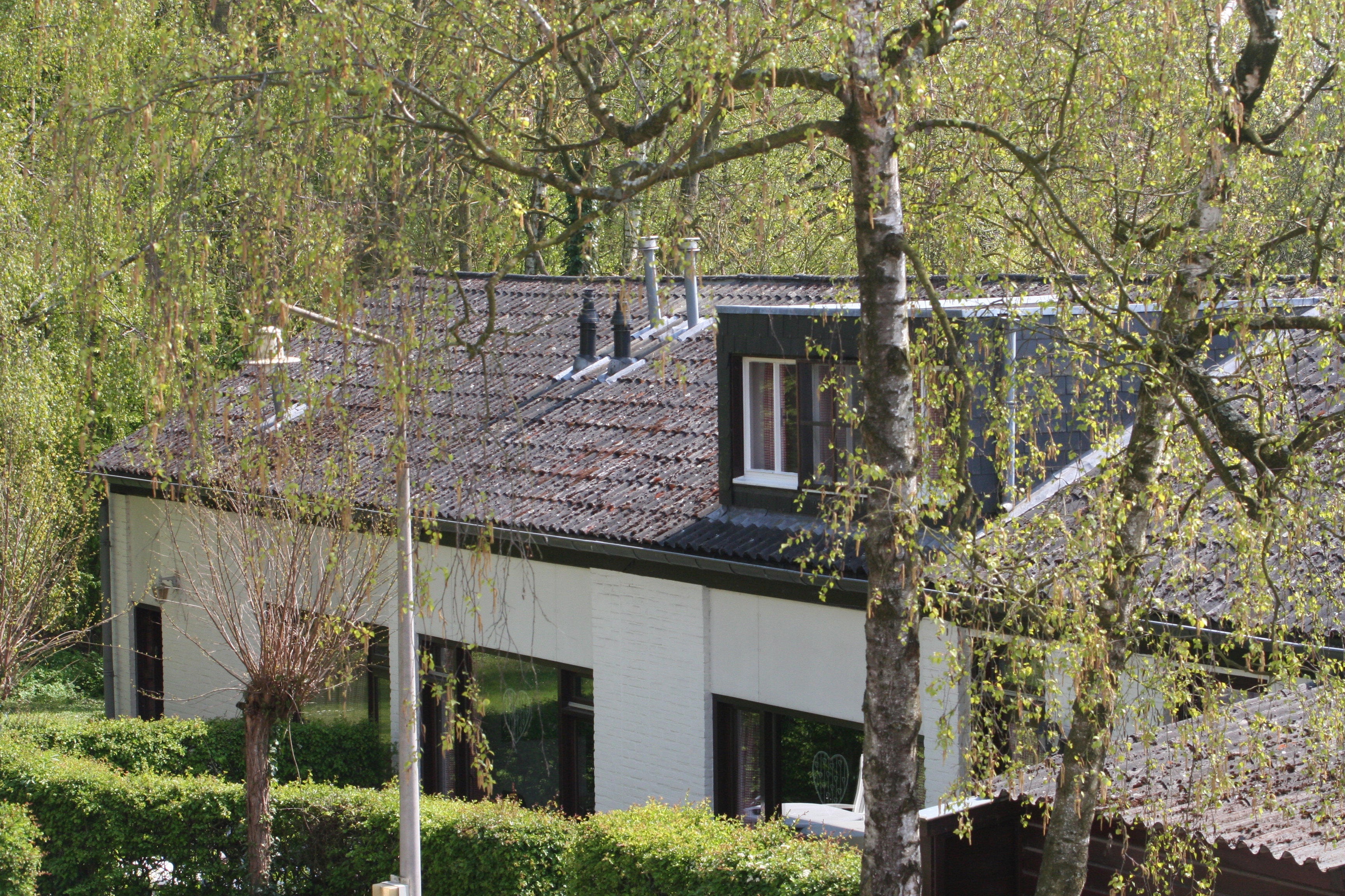 Maison nature à Ulestraten